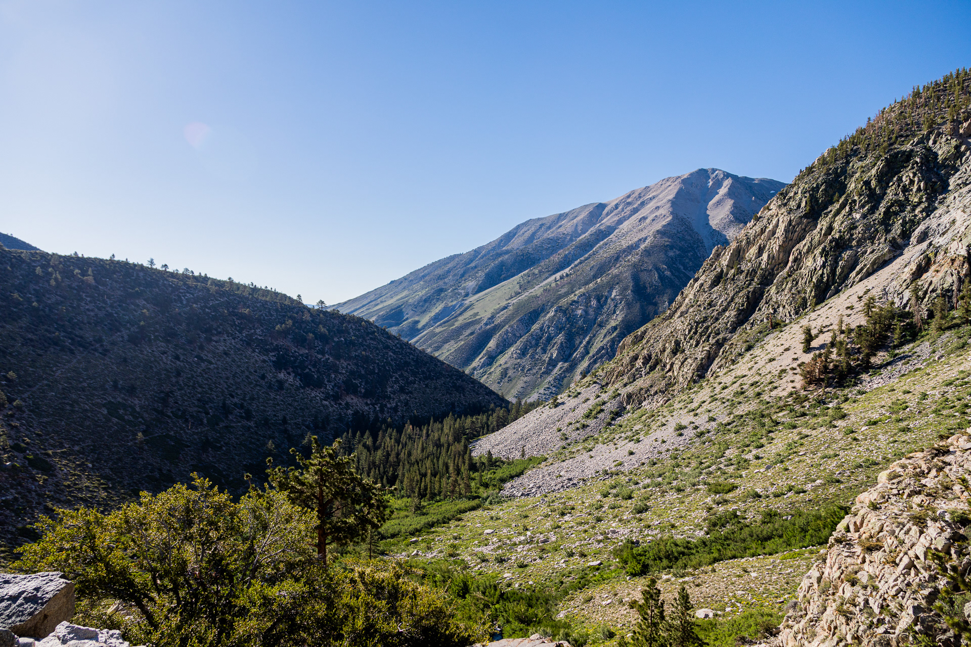 Inyo National Forest, 2024