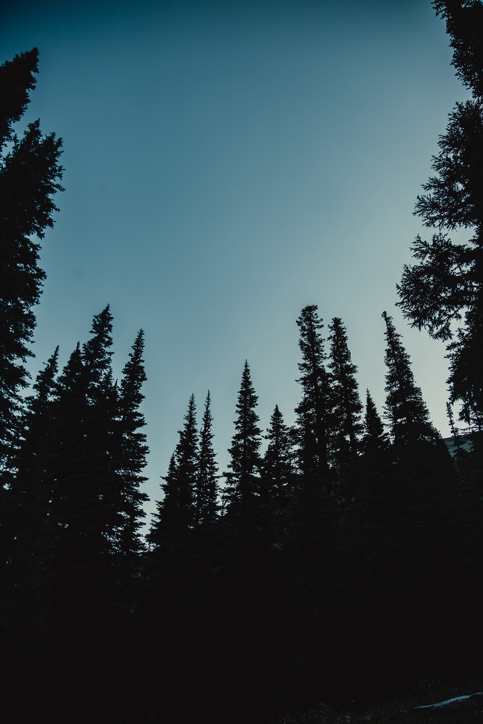 Mt. Ranier National Park, 2019