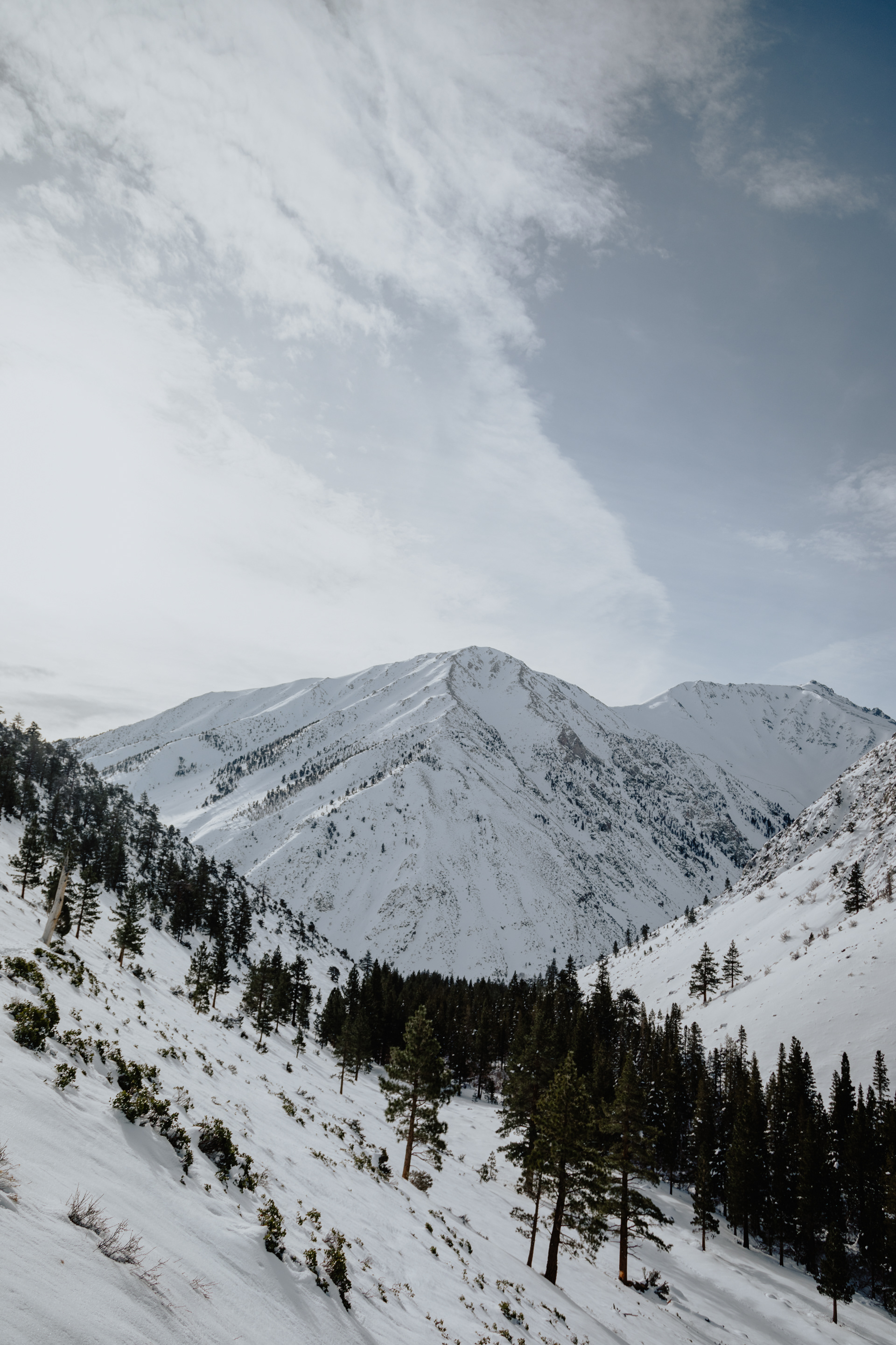 Inyo National Forest, 2024