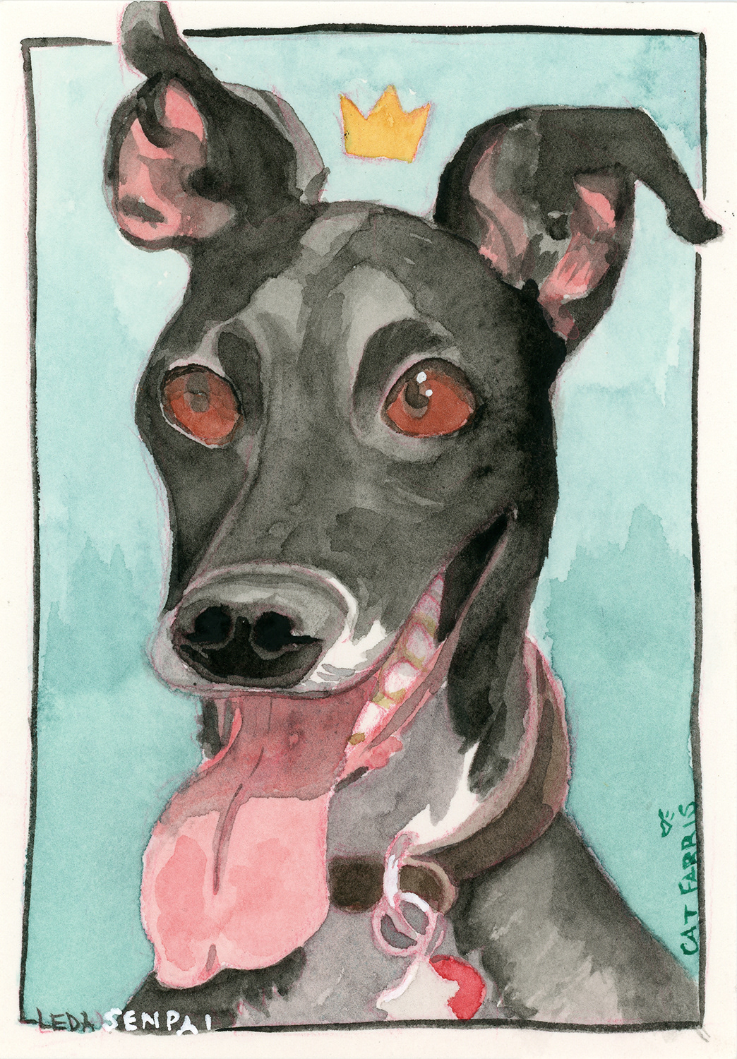 Leda the whippet