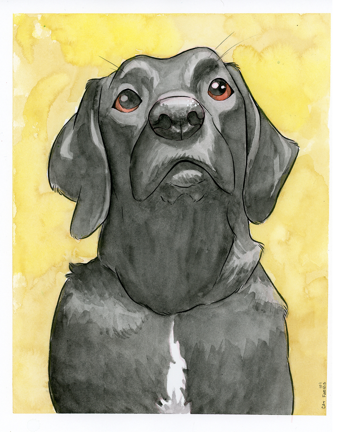 Jade the lab