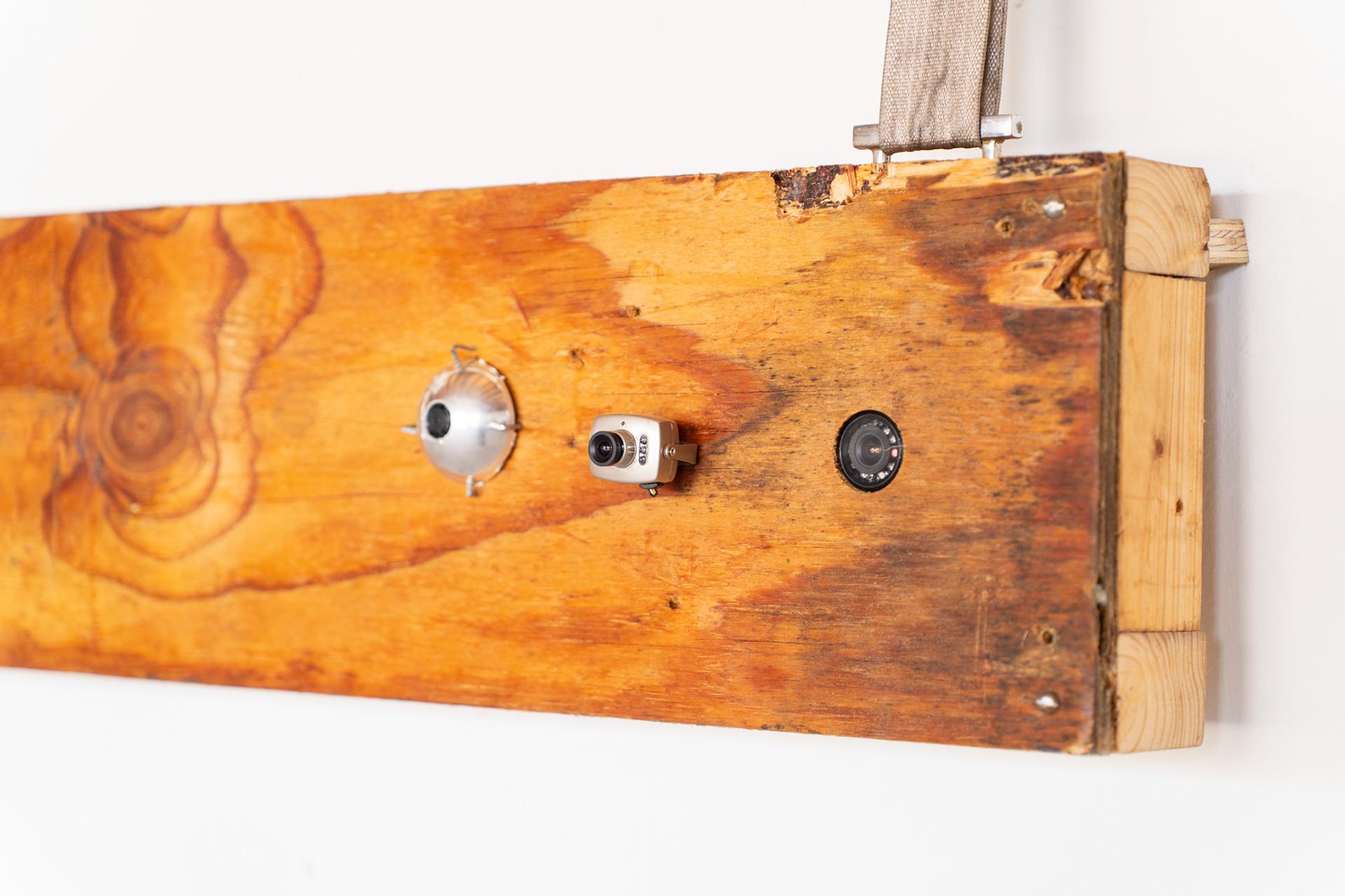 Photo taken by Meike Driessen