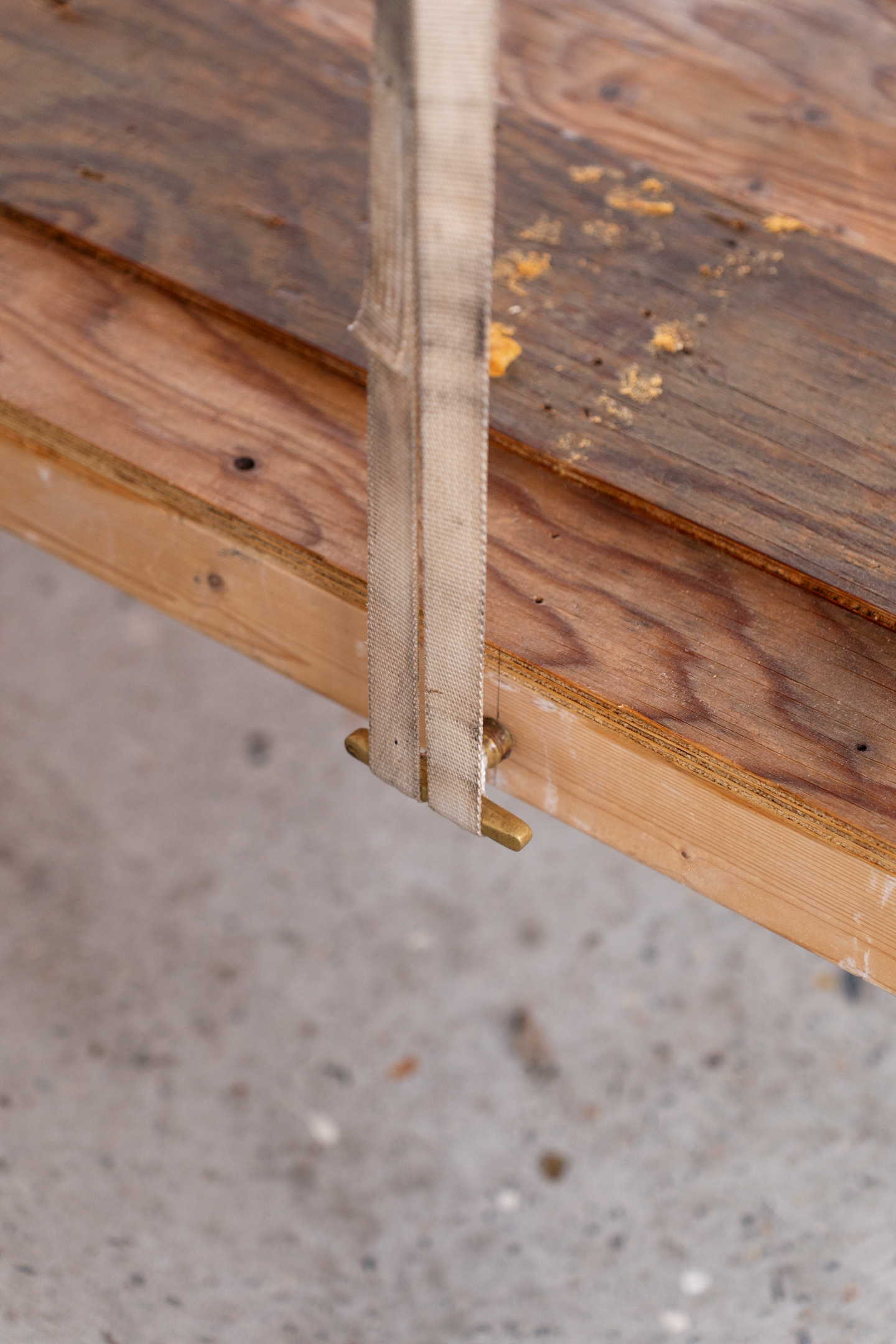 Photo taken by Meike Driessen