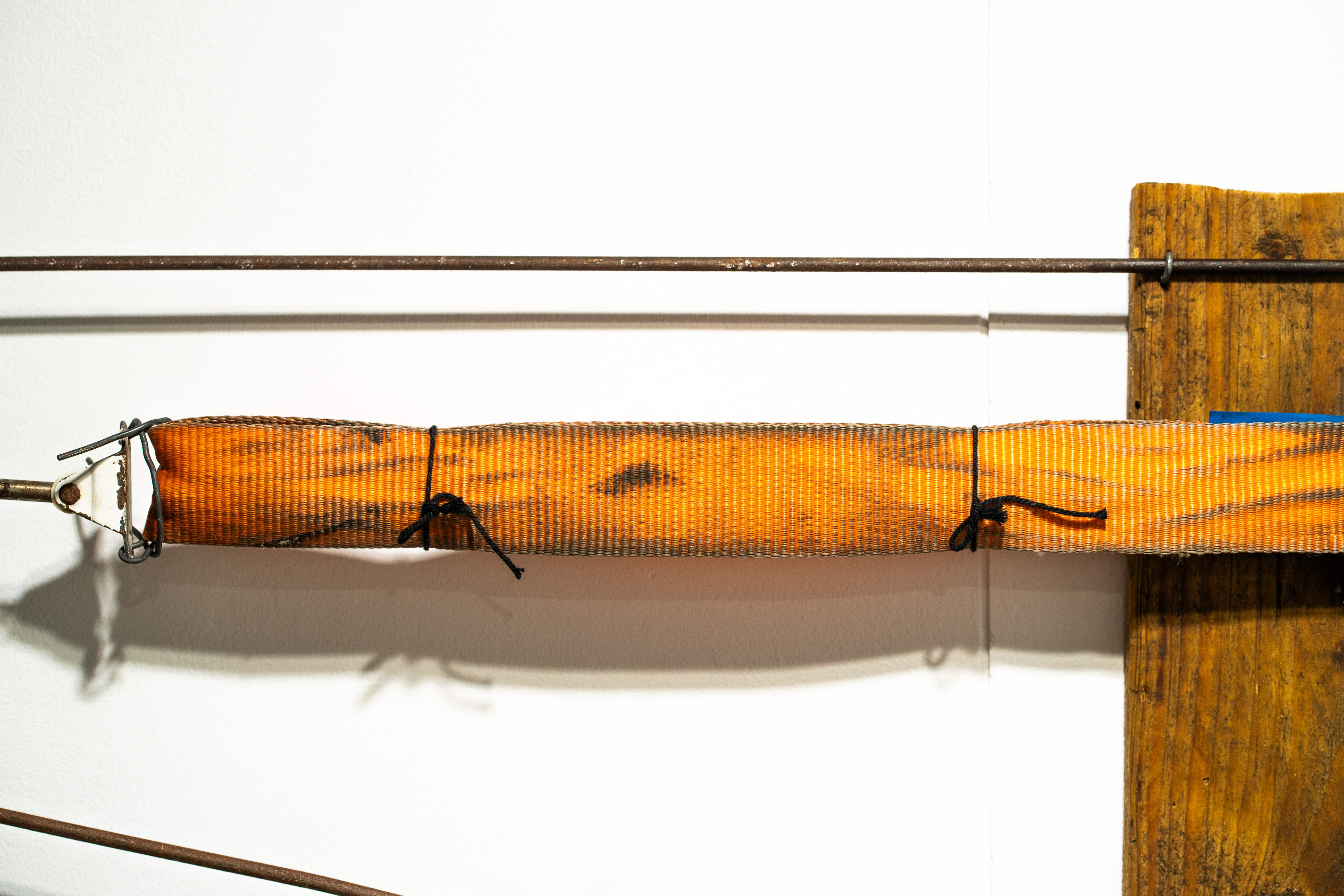 Photo by Nichon van der Heijden 