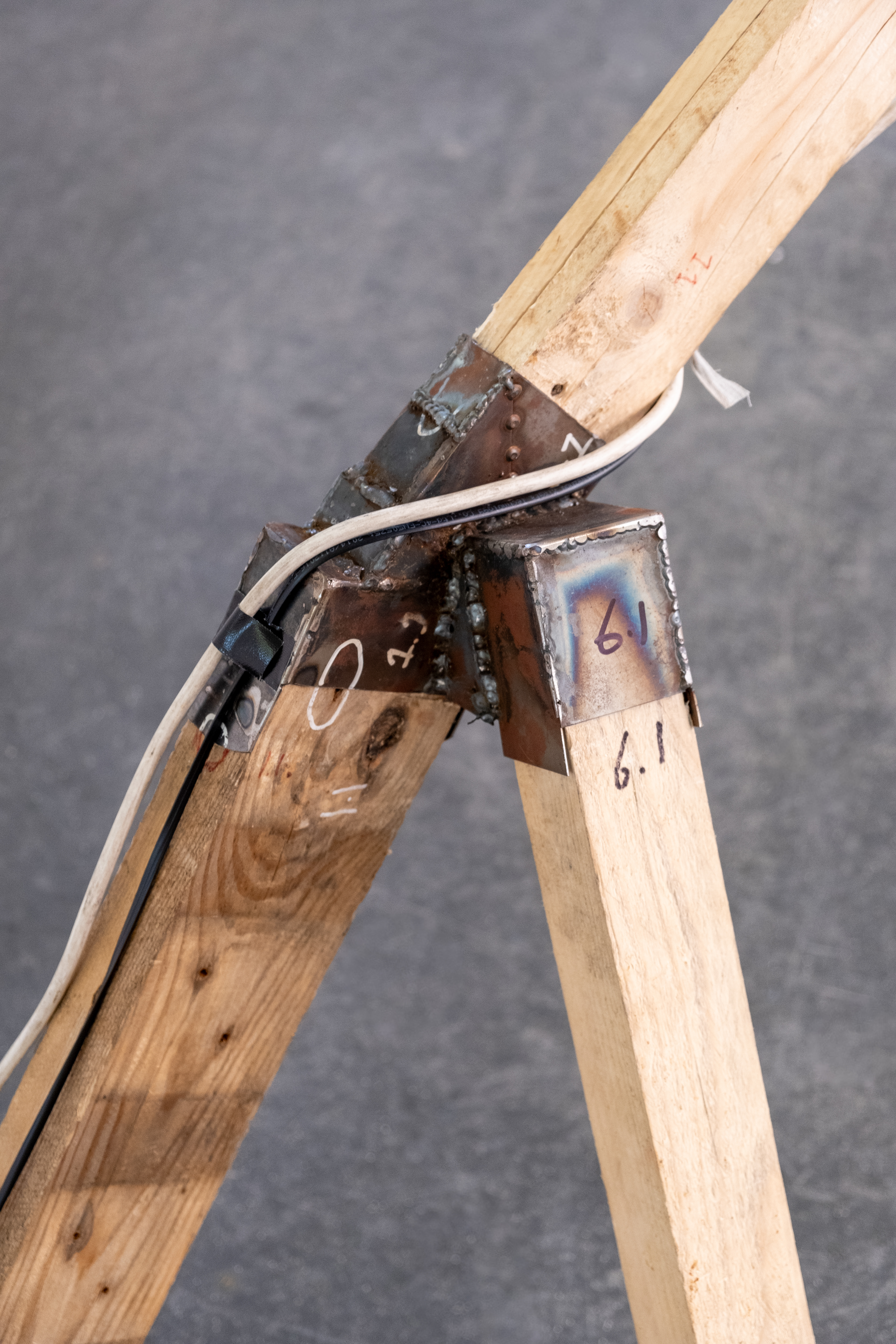 Photo taken by Lotte Vocking