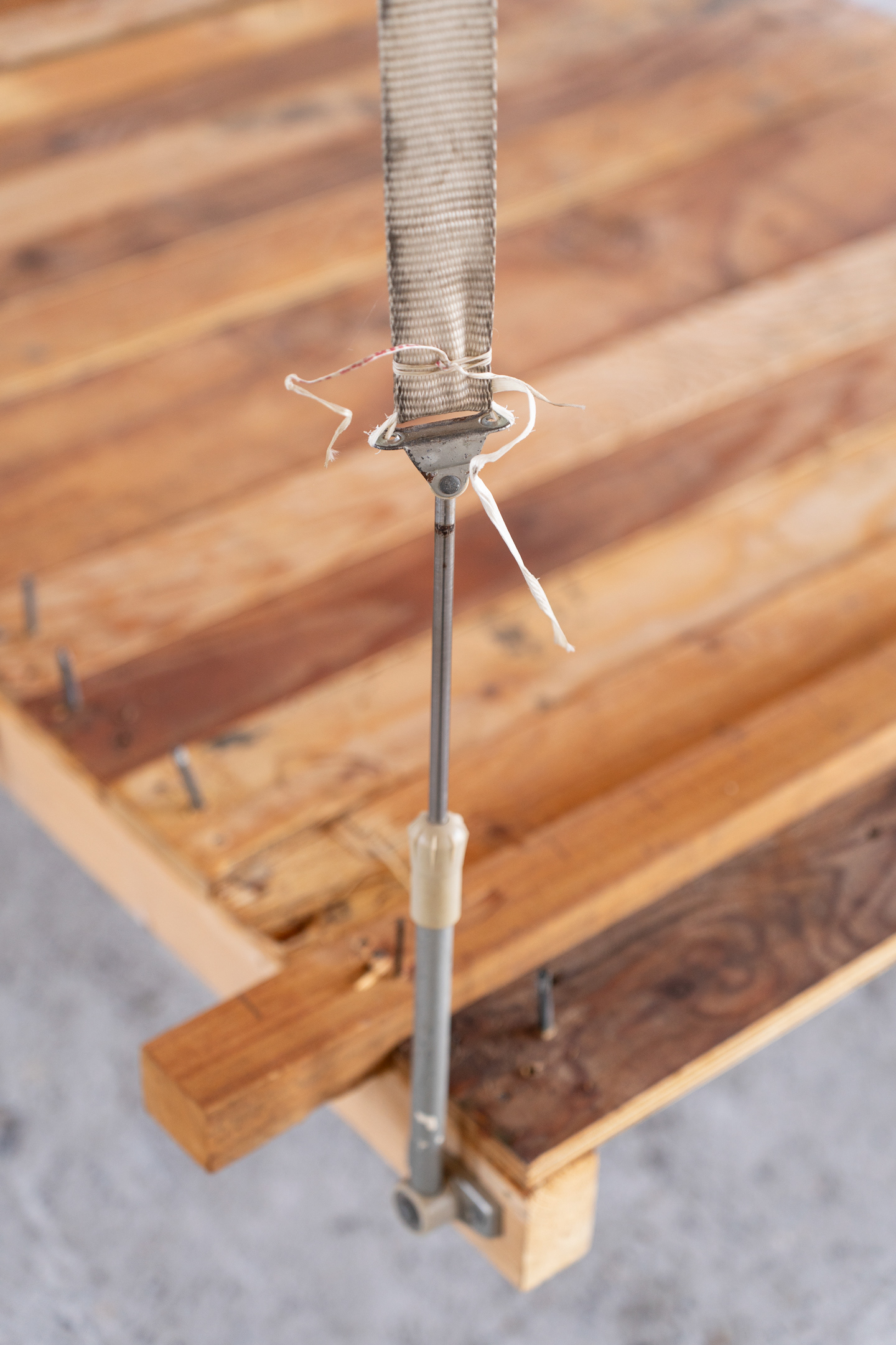 Photo taken by Meike Driessen