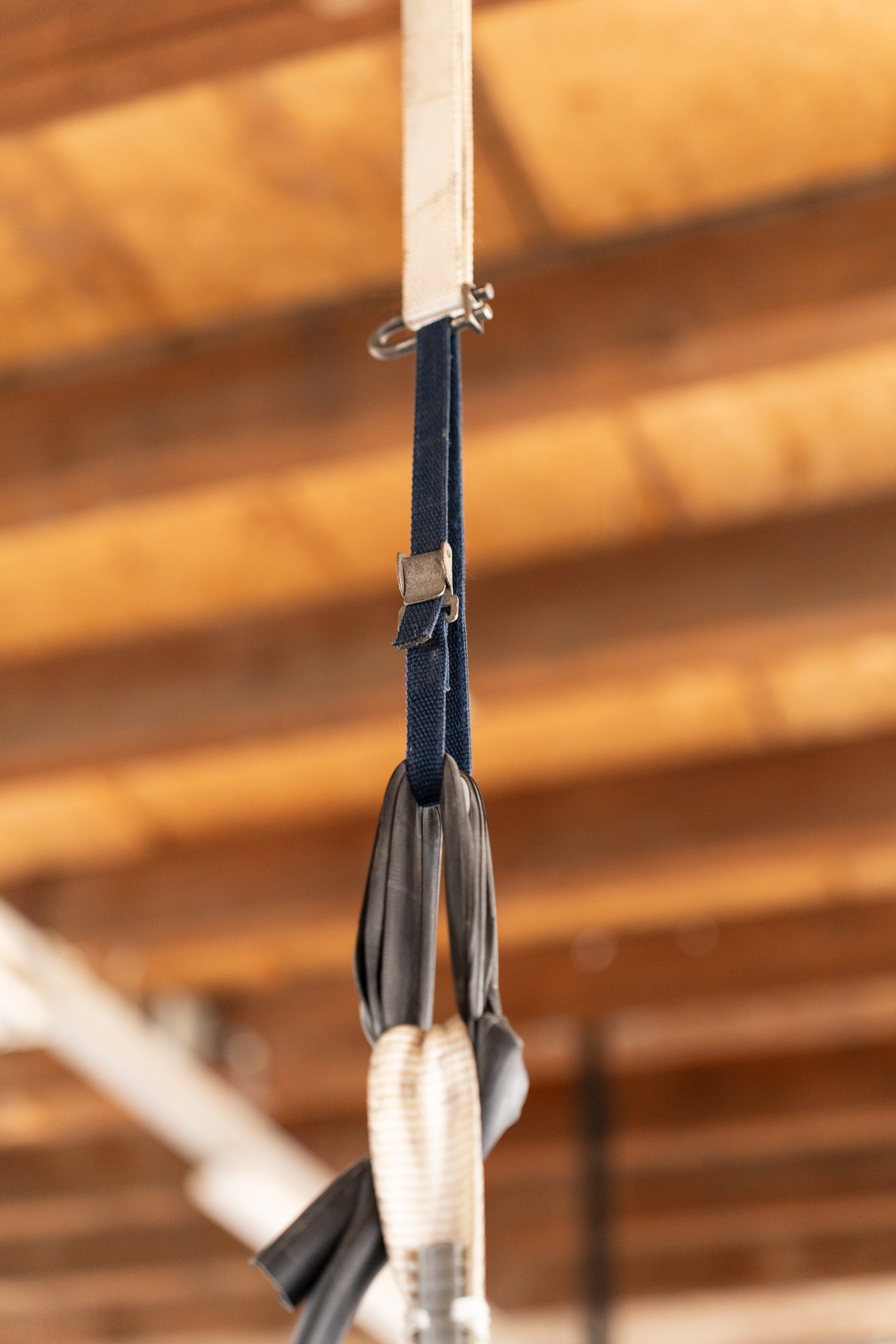 Photo taken by Meike Driessen