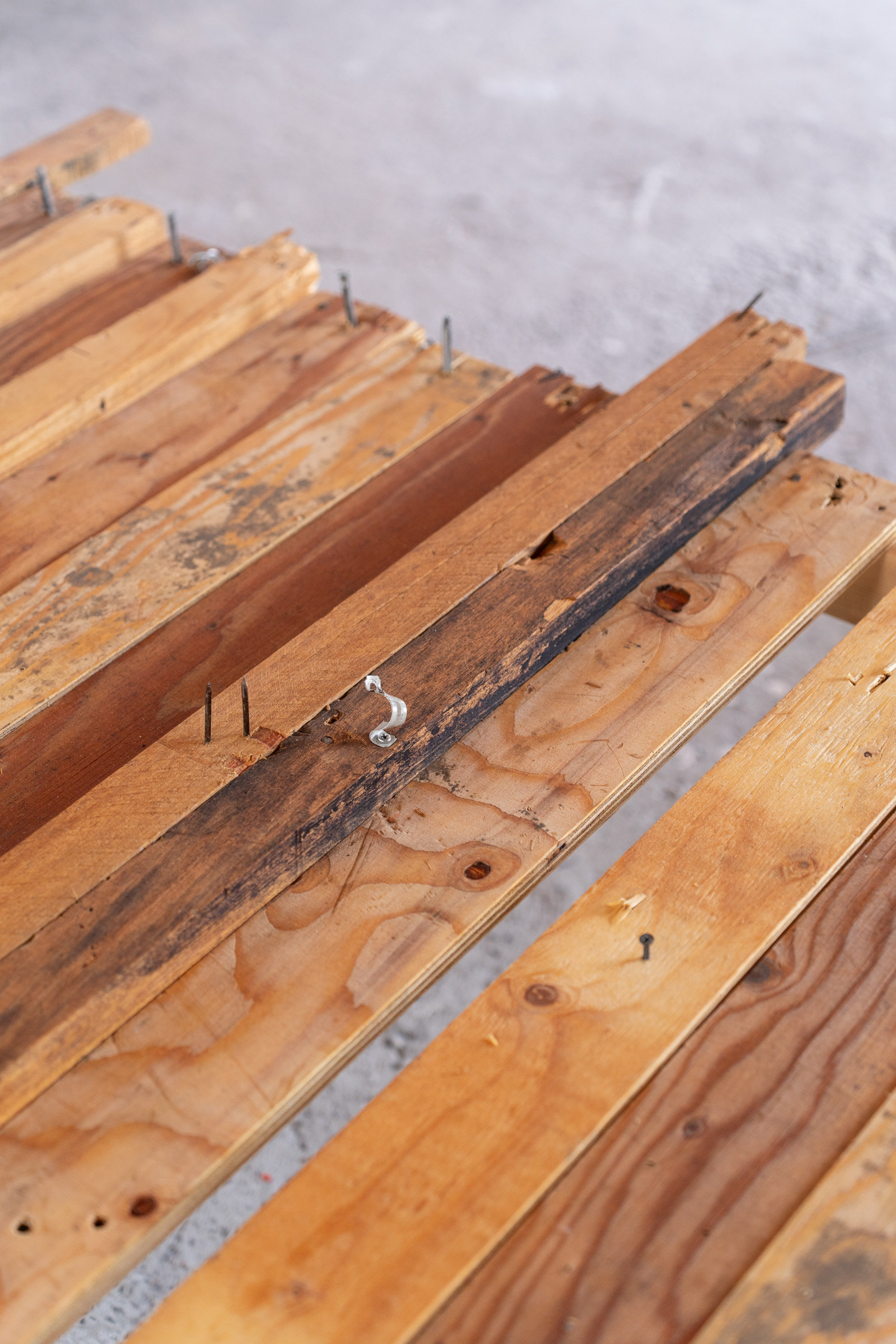 Photo taken by Meike Driessen