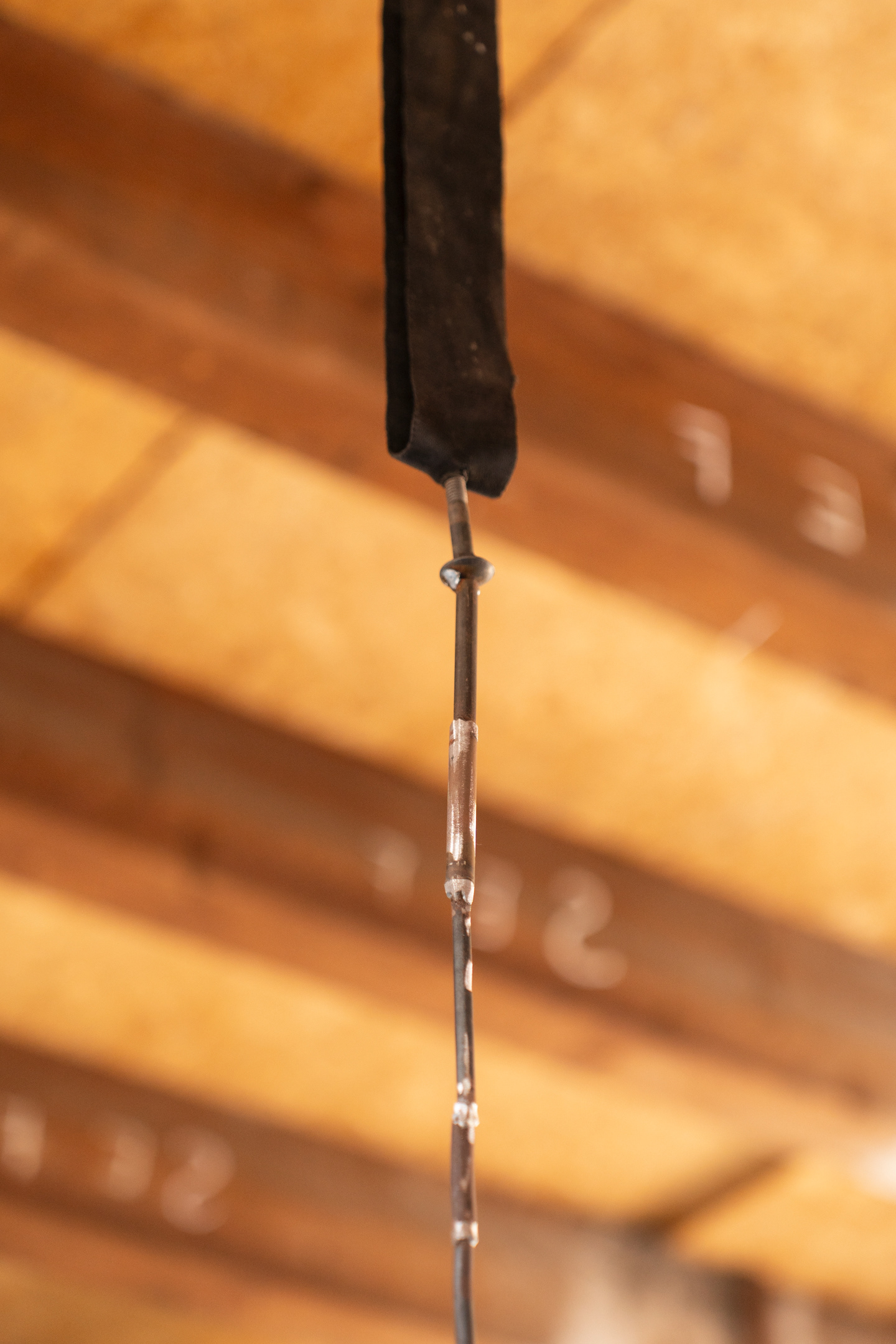 Photo taken by Meike Driessen