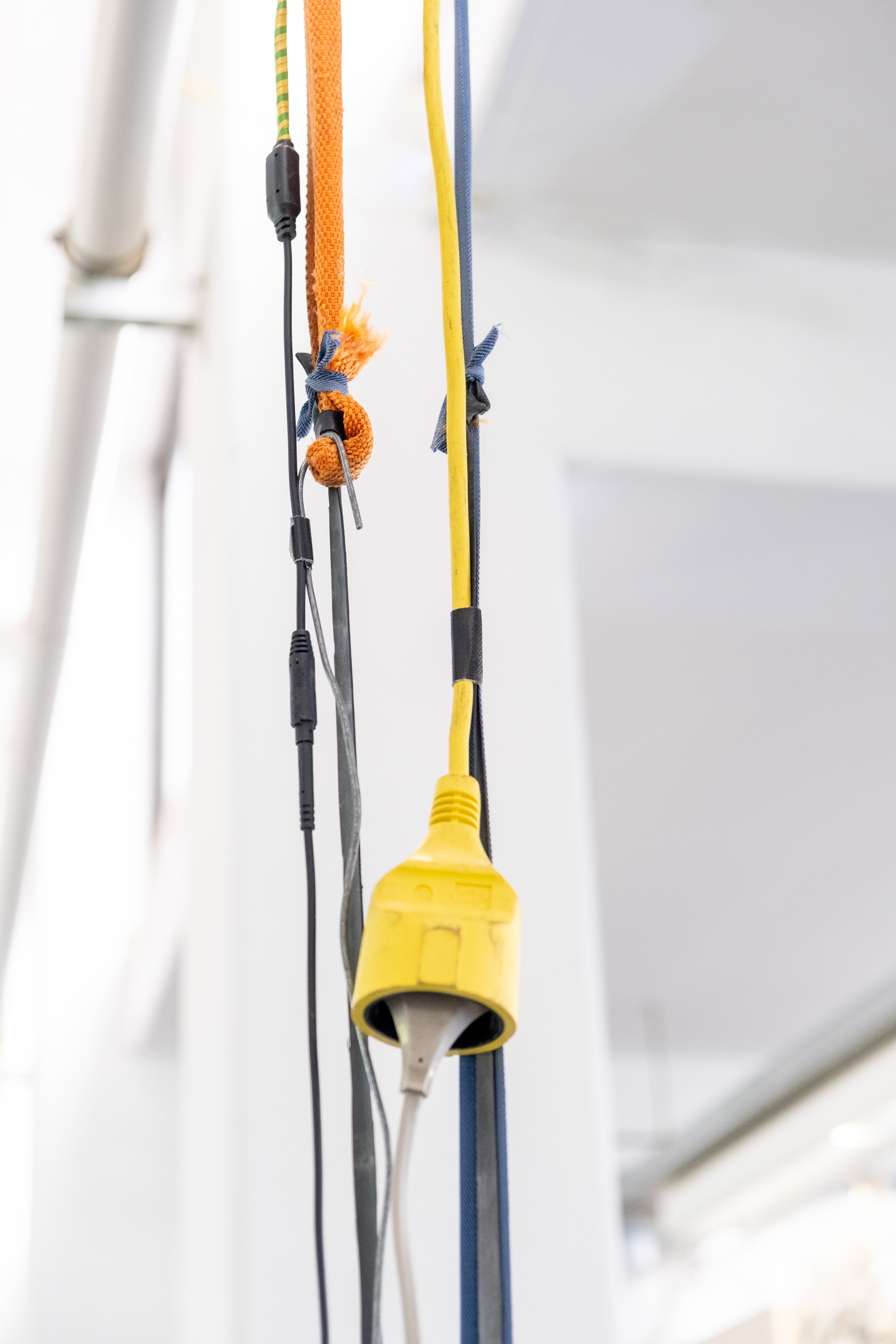 Photo taken by Lotte Vocking