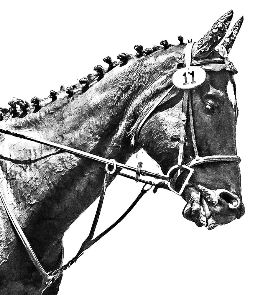 Queeny Park  Horse Trials