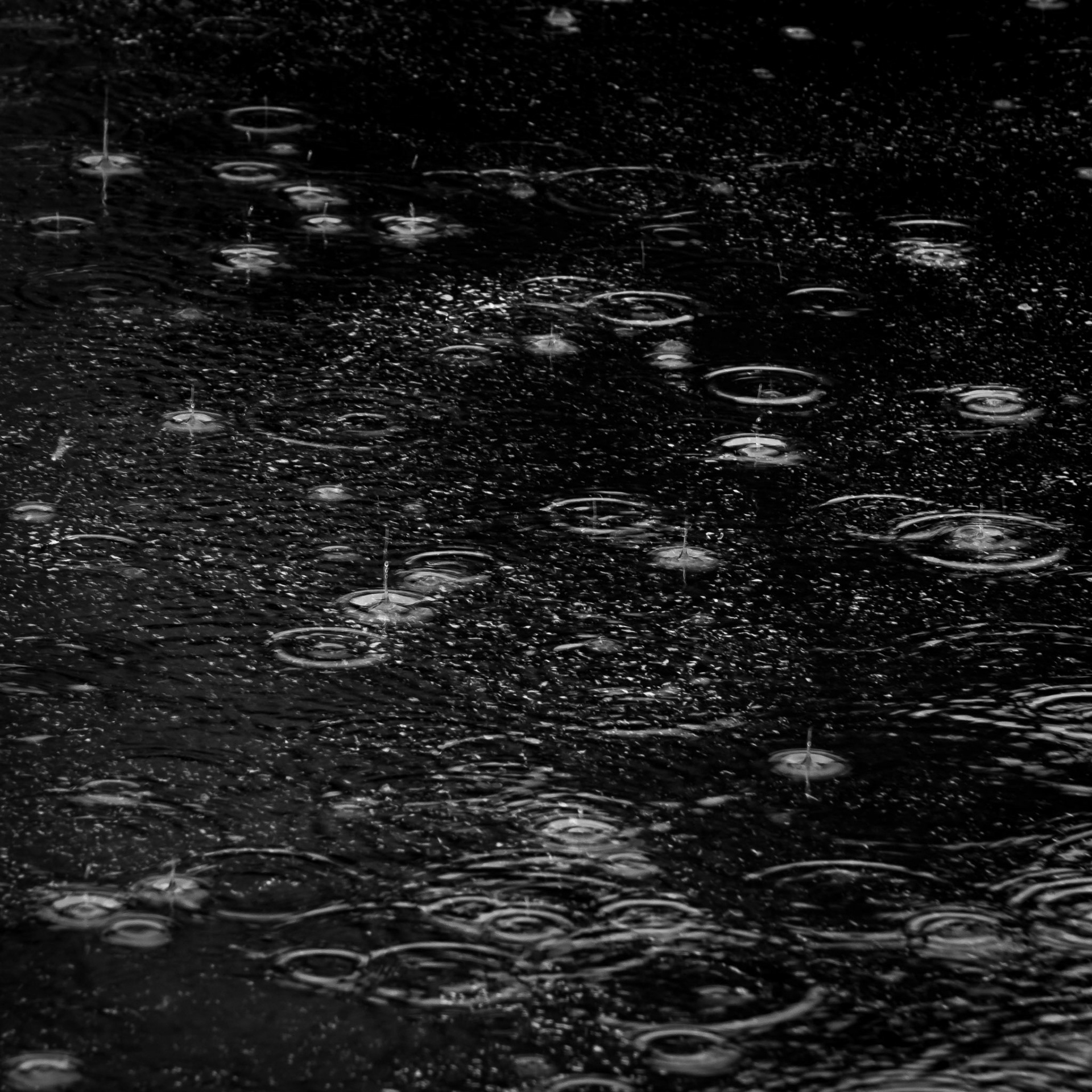 Raindrops