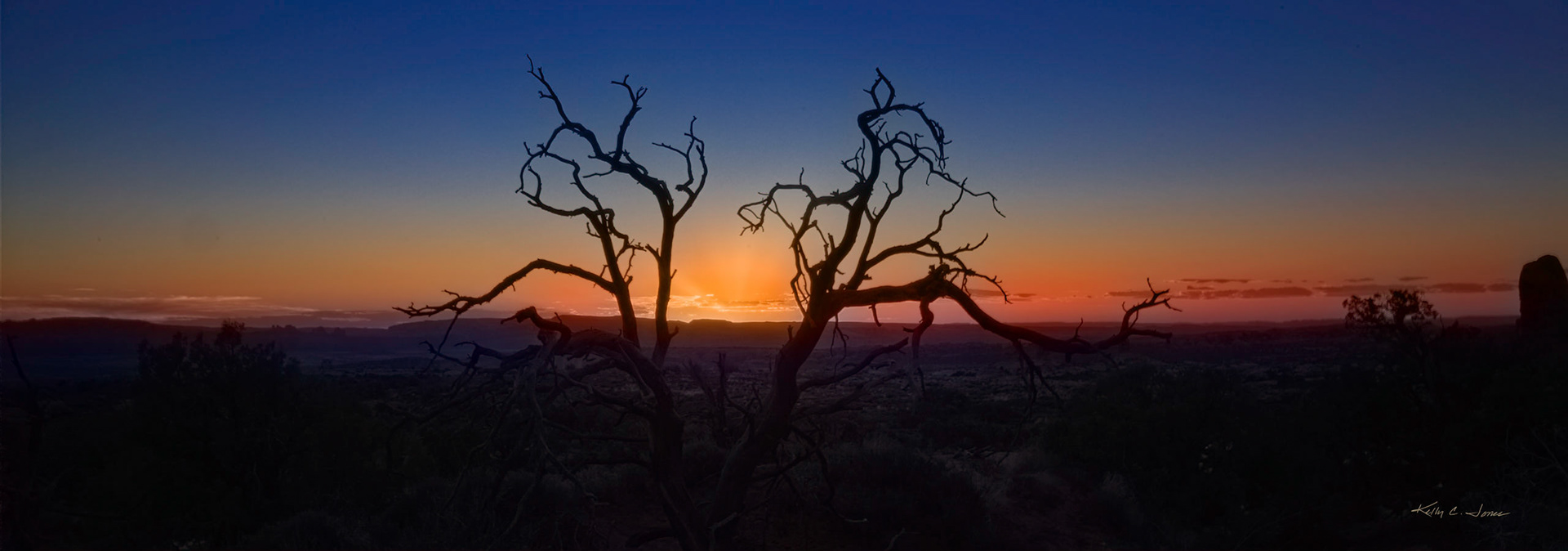 These silhouette views were taken at another location within the park.