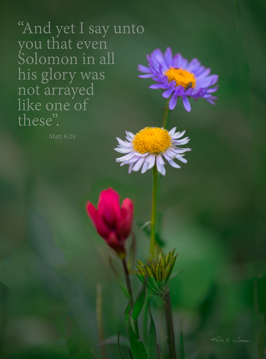 Copenhagen Prints - Copenhagen Prints, image size:891x1200