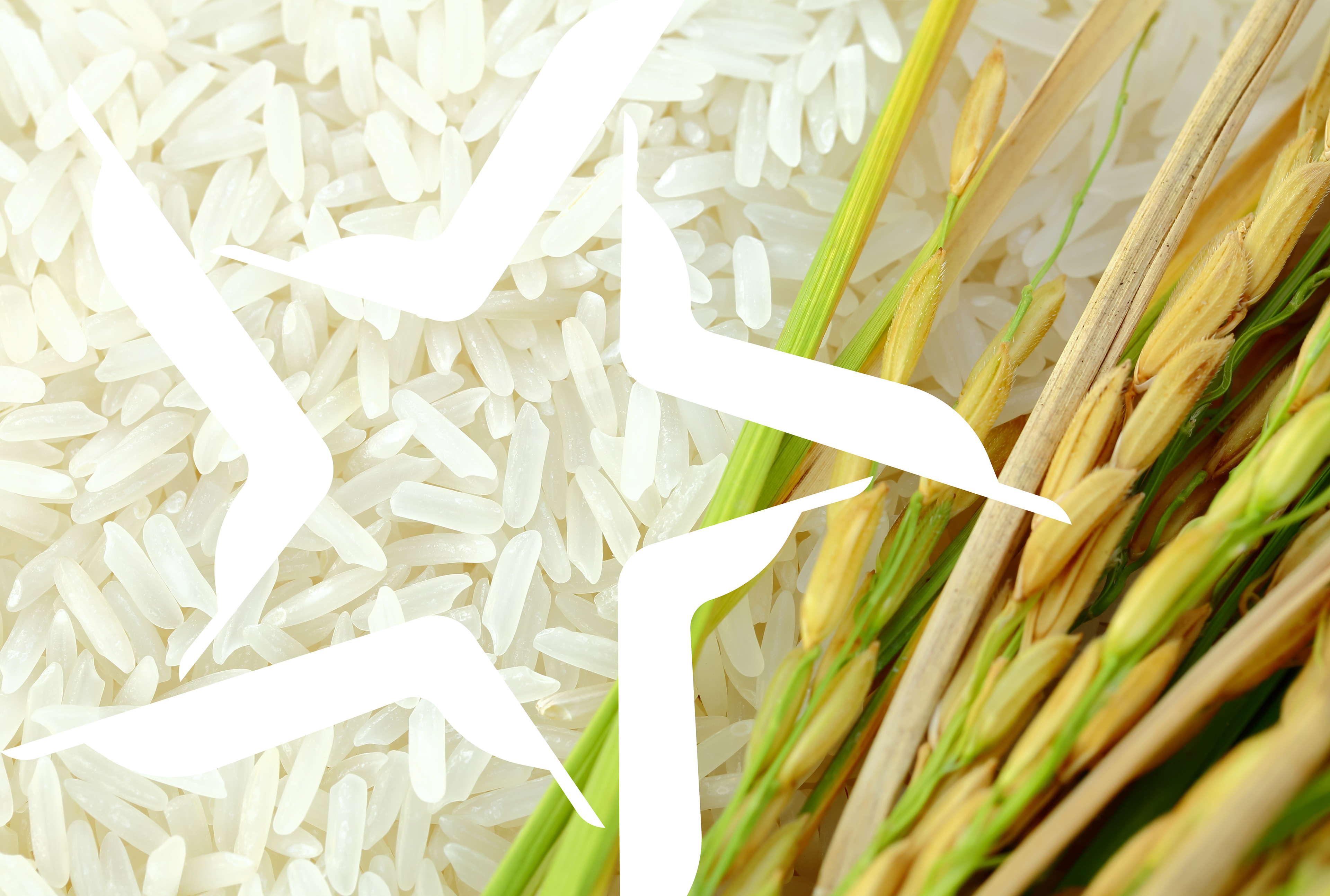 Setara Rice Branding