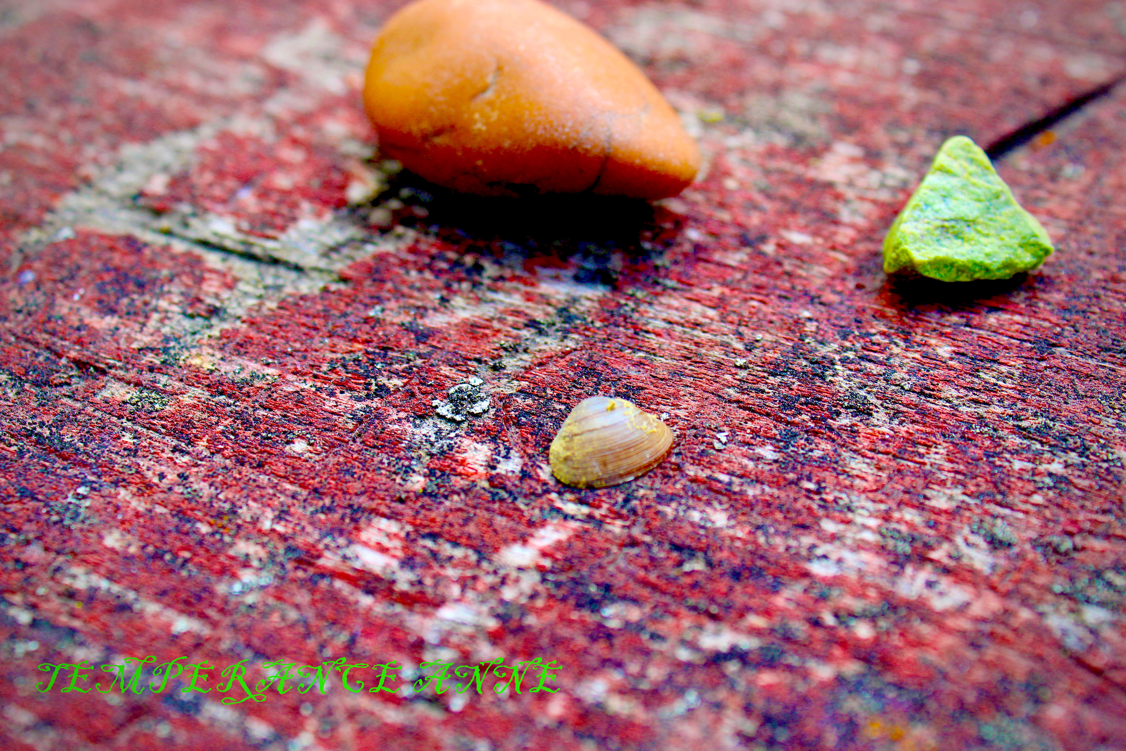 Rocks Seven Mile Creek Park MN
