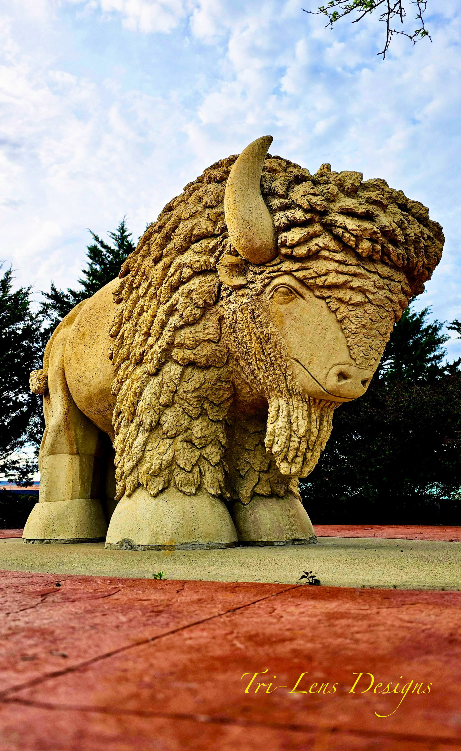 Bison statue Oldtown Mankato, MN