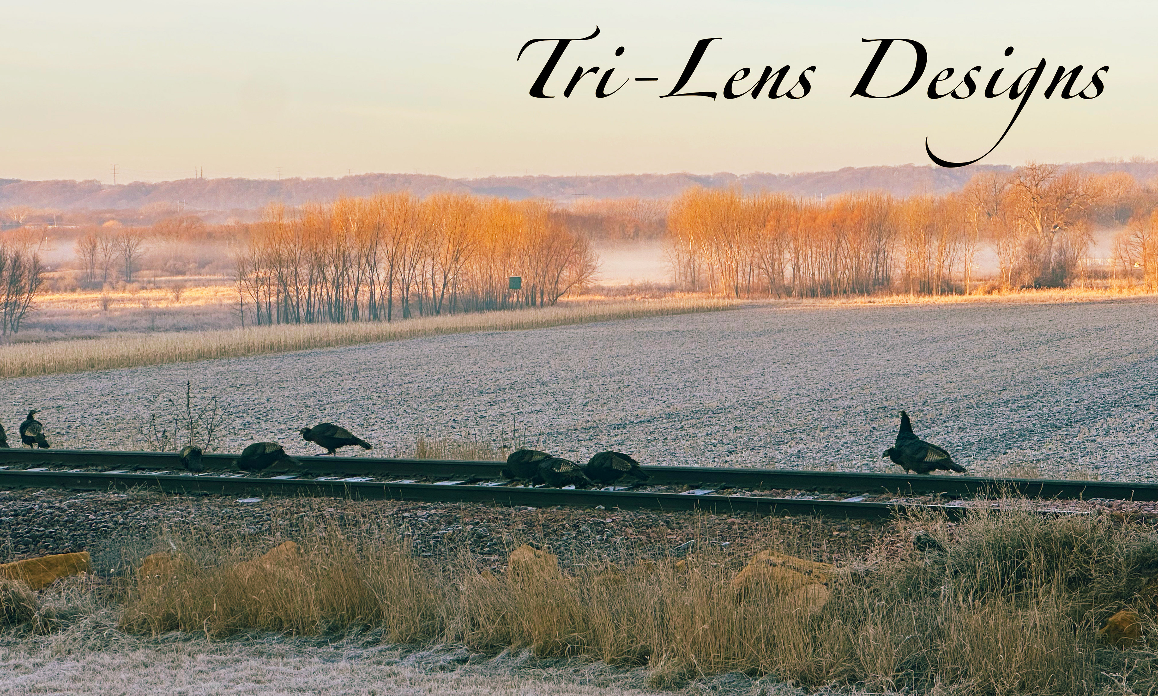 Turkeys Lime Valley Mankato, MN