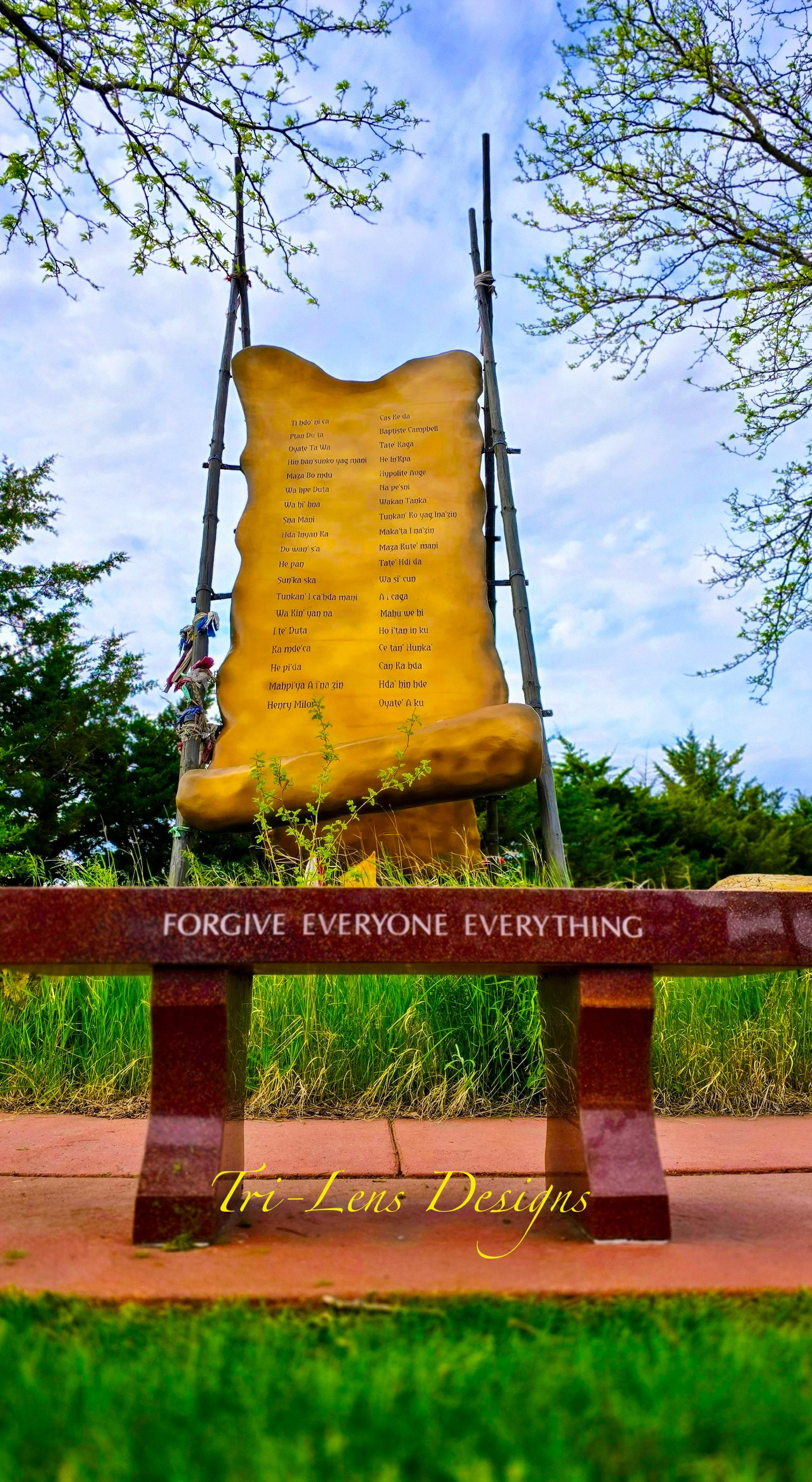 Dakota 38+2 Oldtown Mankato, MN