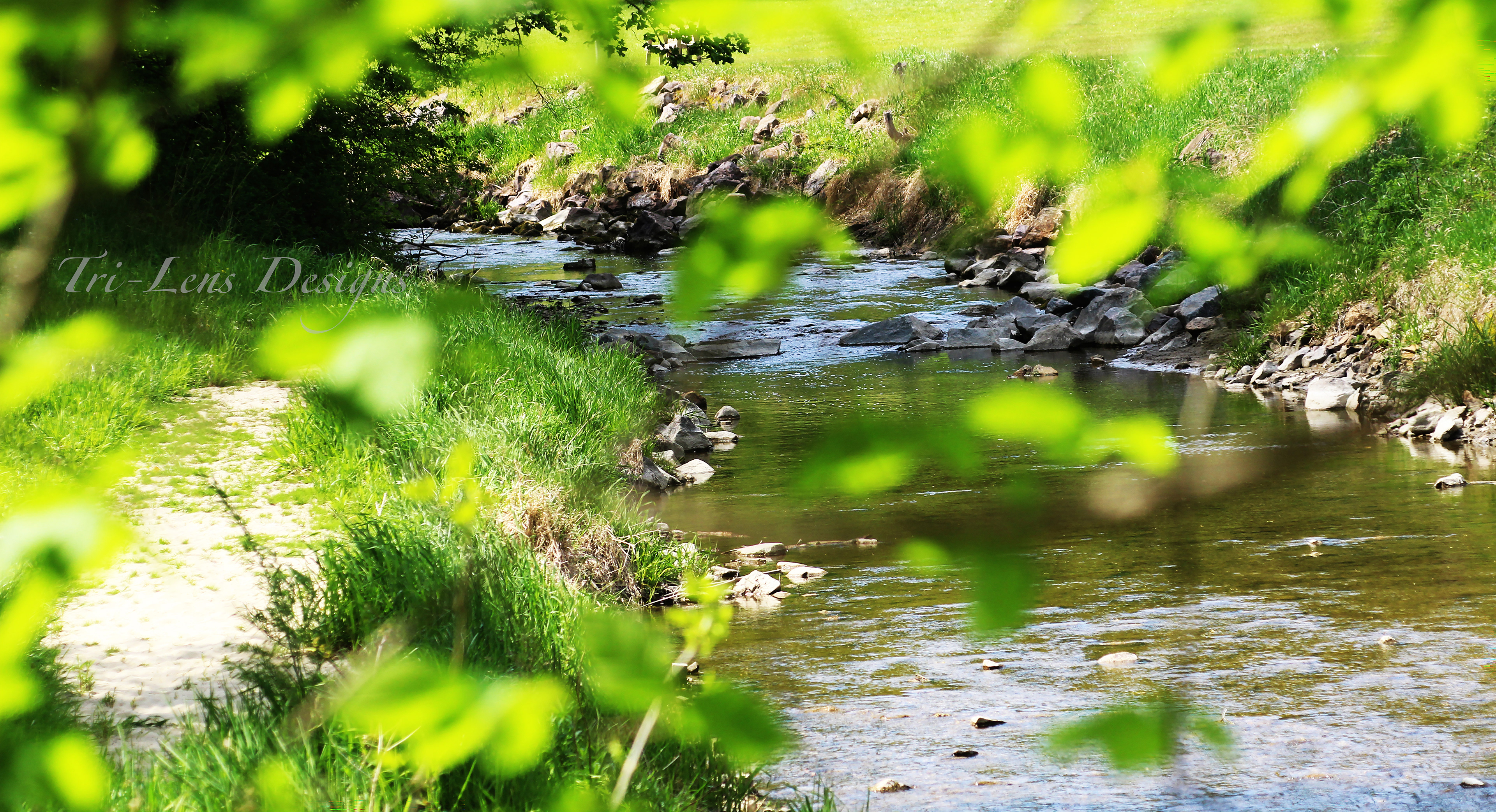 Landscape Seven Mile Creek, MN