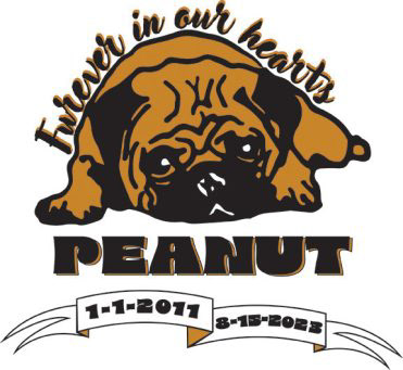 2 color screen print after pet passing