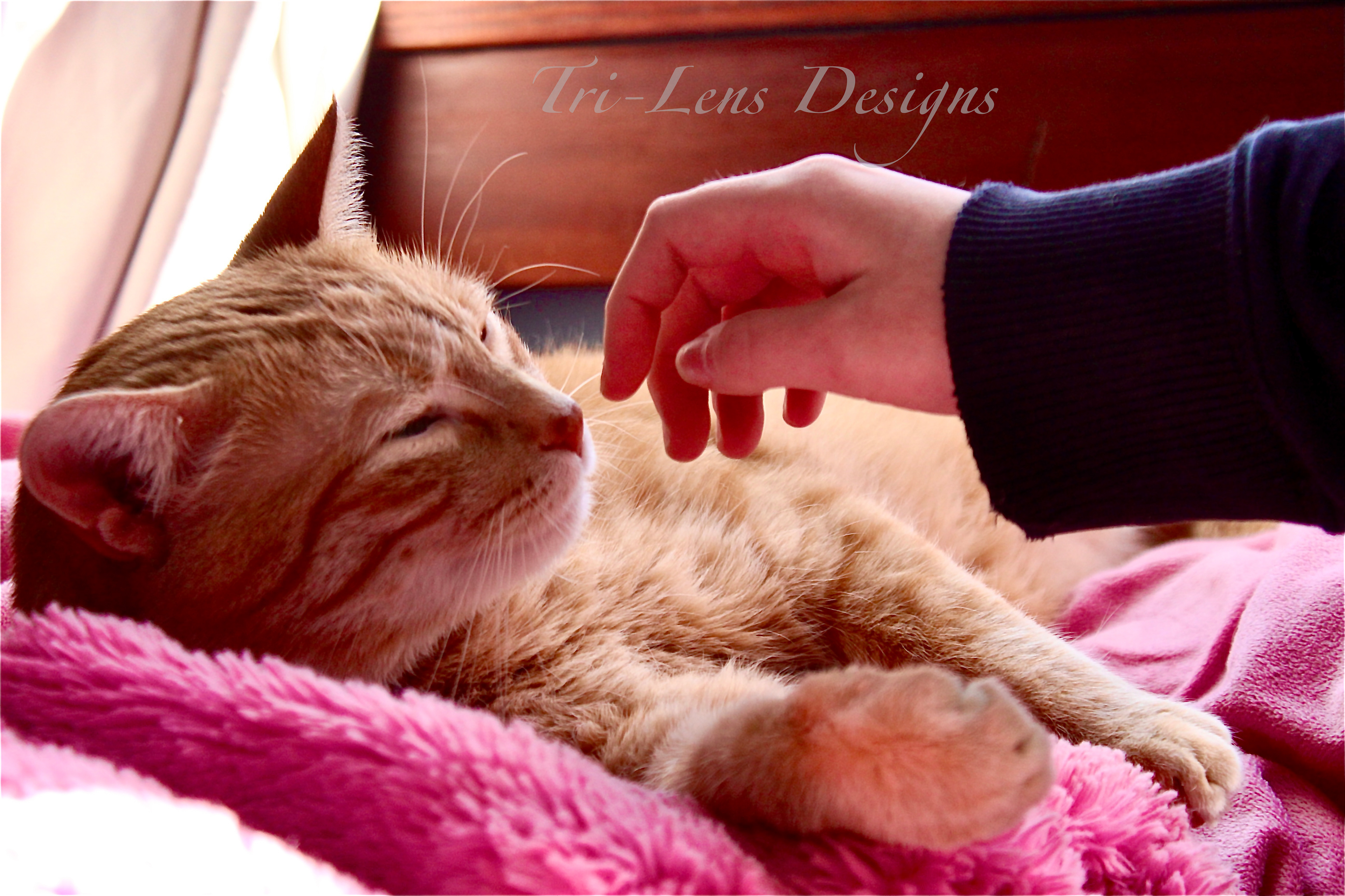 Doug and owner having special moment