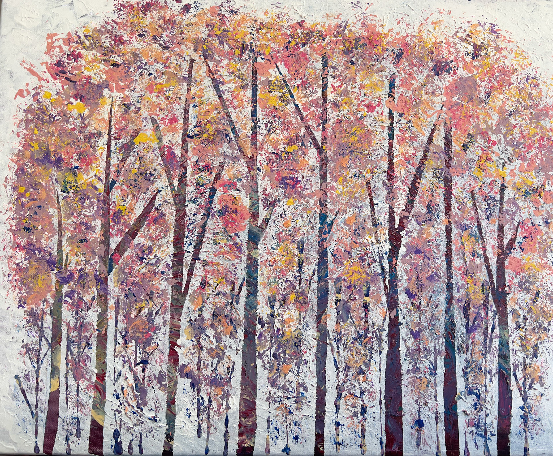 Joint effort by Jan Wagner & Belinda Moutray