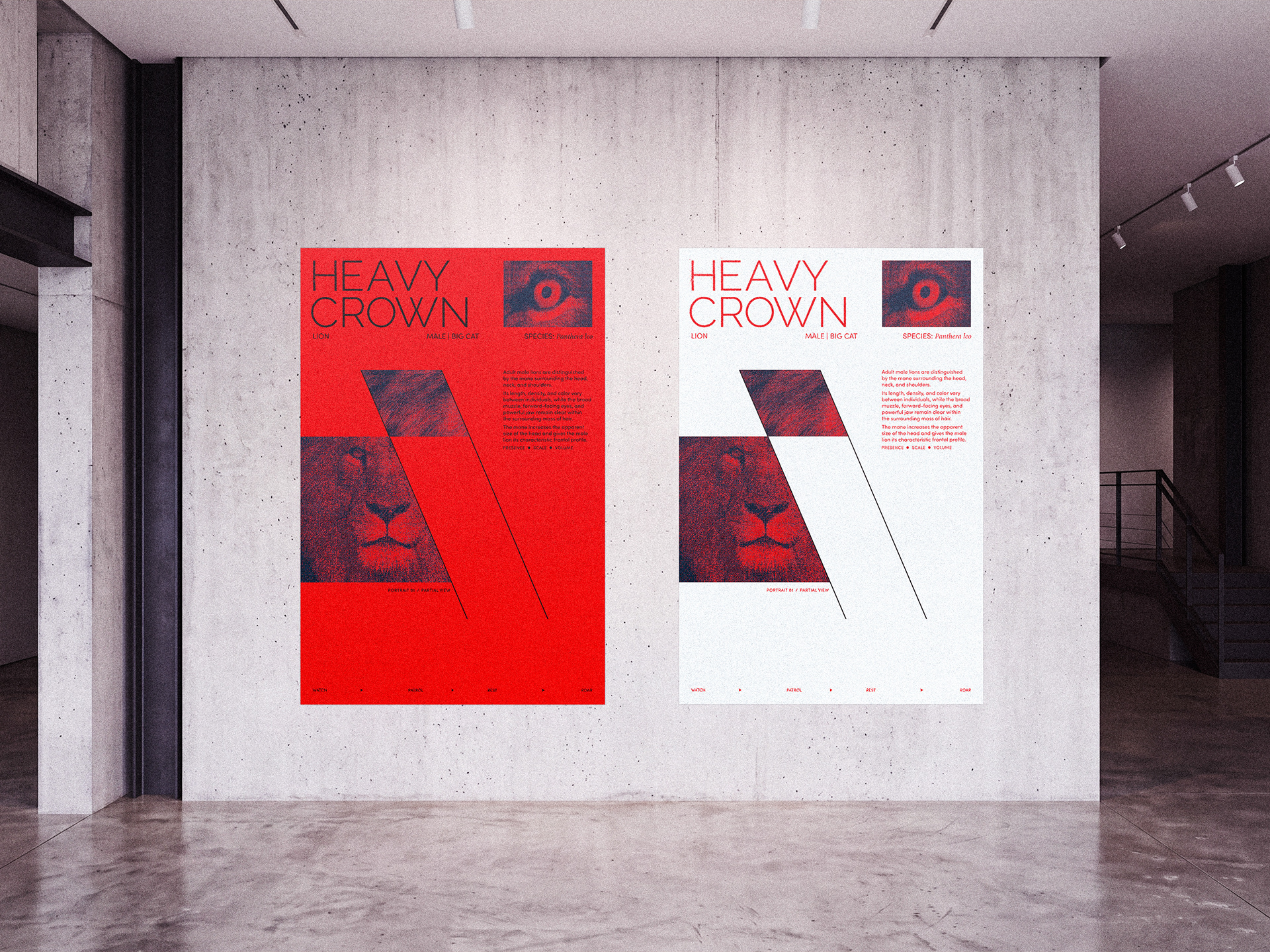 Heavy Crown red and Frost Paper poster variations displayed side by side on a raw concrete wall in a minimal contemporary exhibition space.