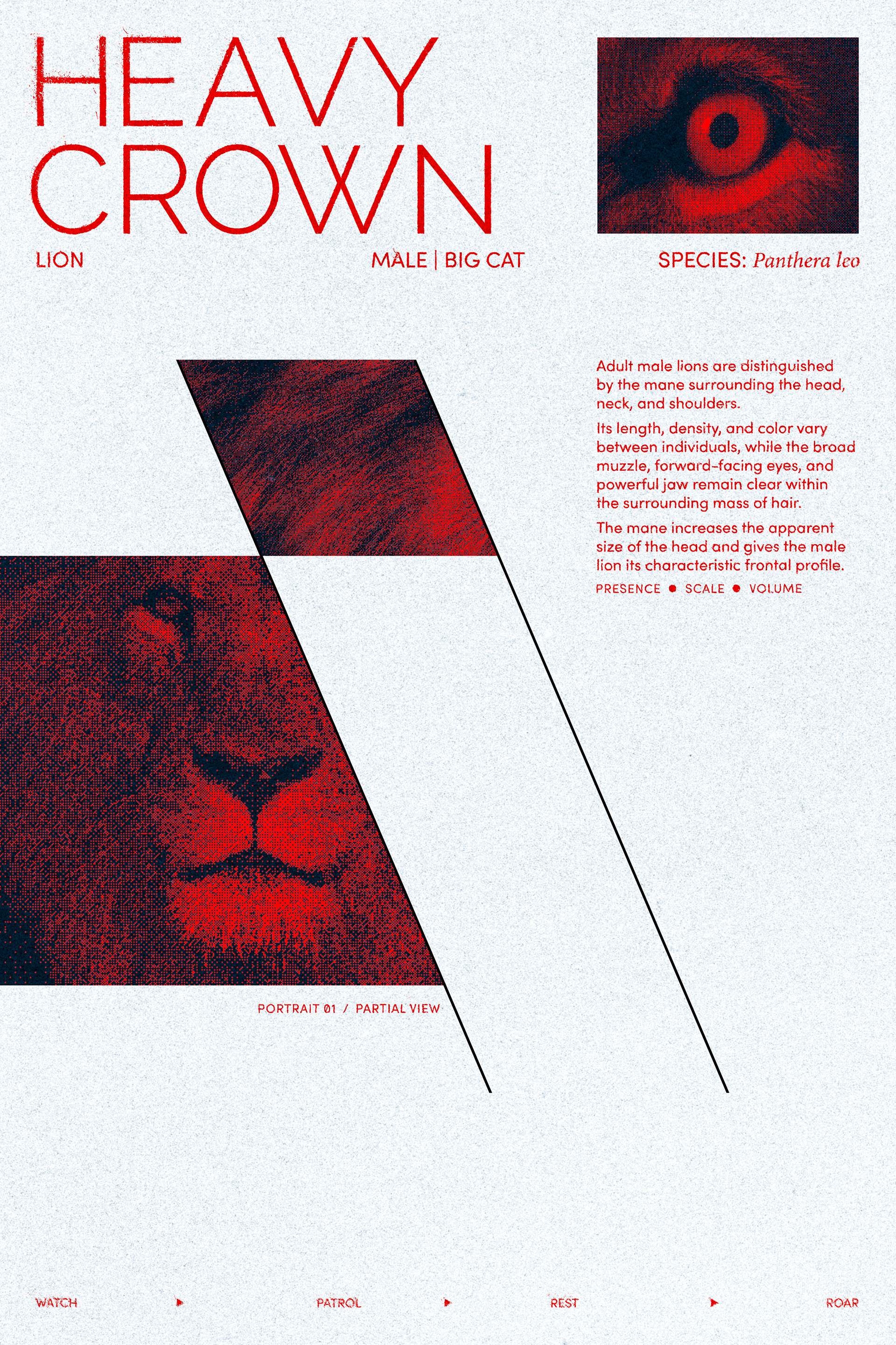 The Frost Paper field introduces greater negative space and gives the same composition a cooler, more restrained editorial character.
