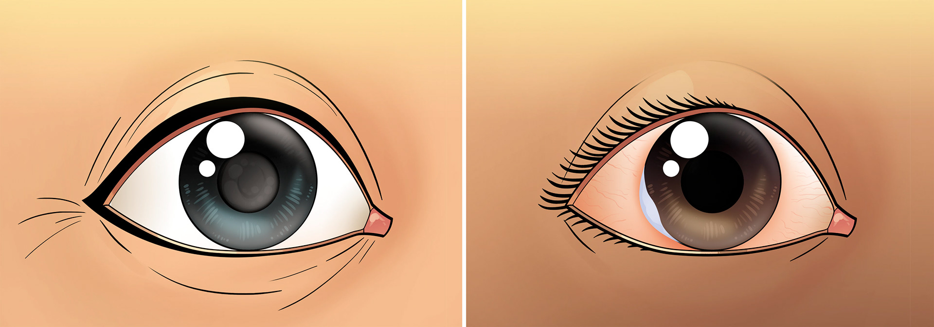 Arte produzida para a Editora Cidadania. Todos os direitos reservados. Desenho e cores Caio Boracini, arte final Laercio Lima