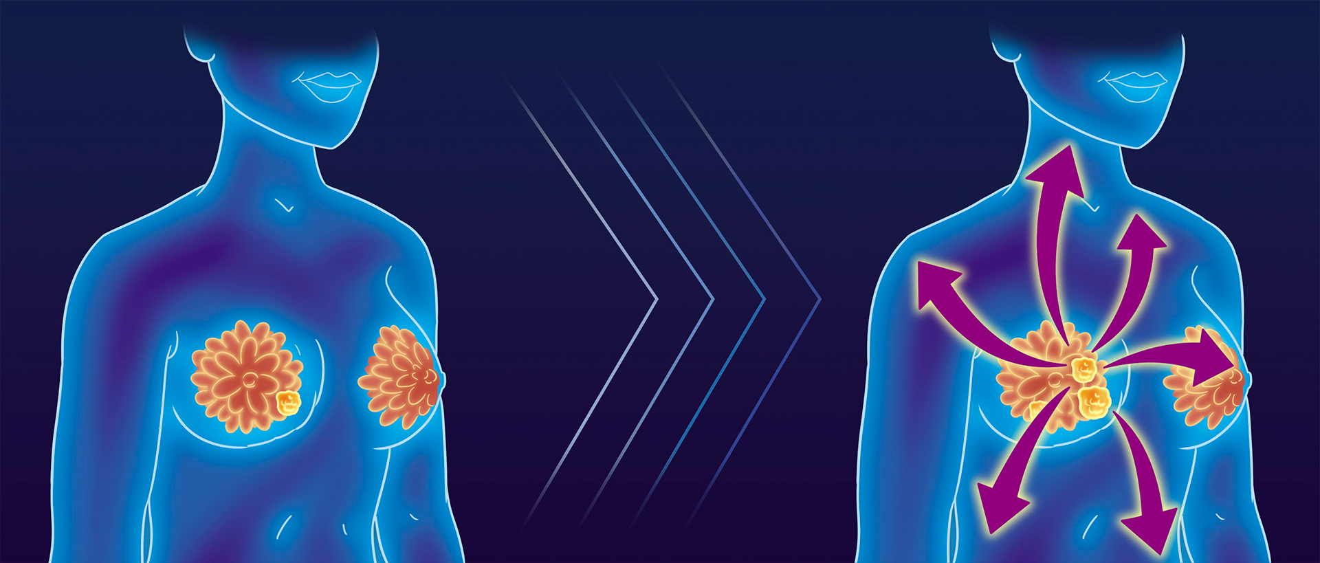 Arte produzida para a Editora Cidadania. Todos os direitos reservados. Desenho e cores Caio Boracini, arte final Laercio Lima