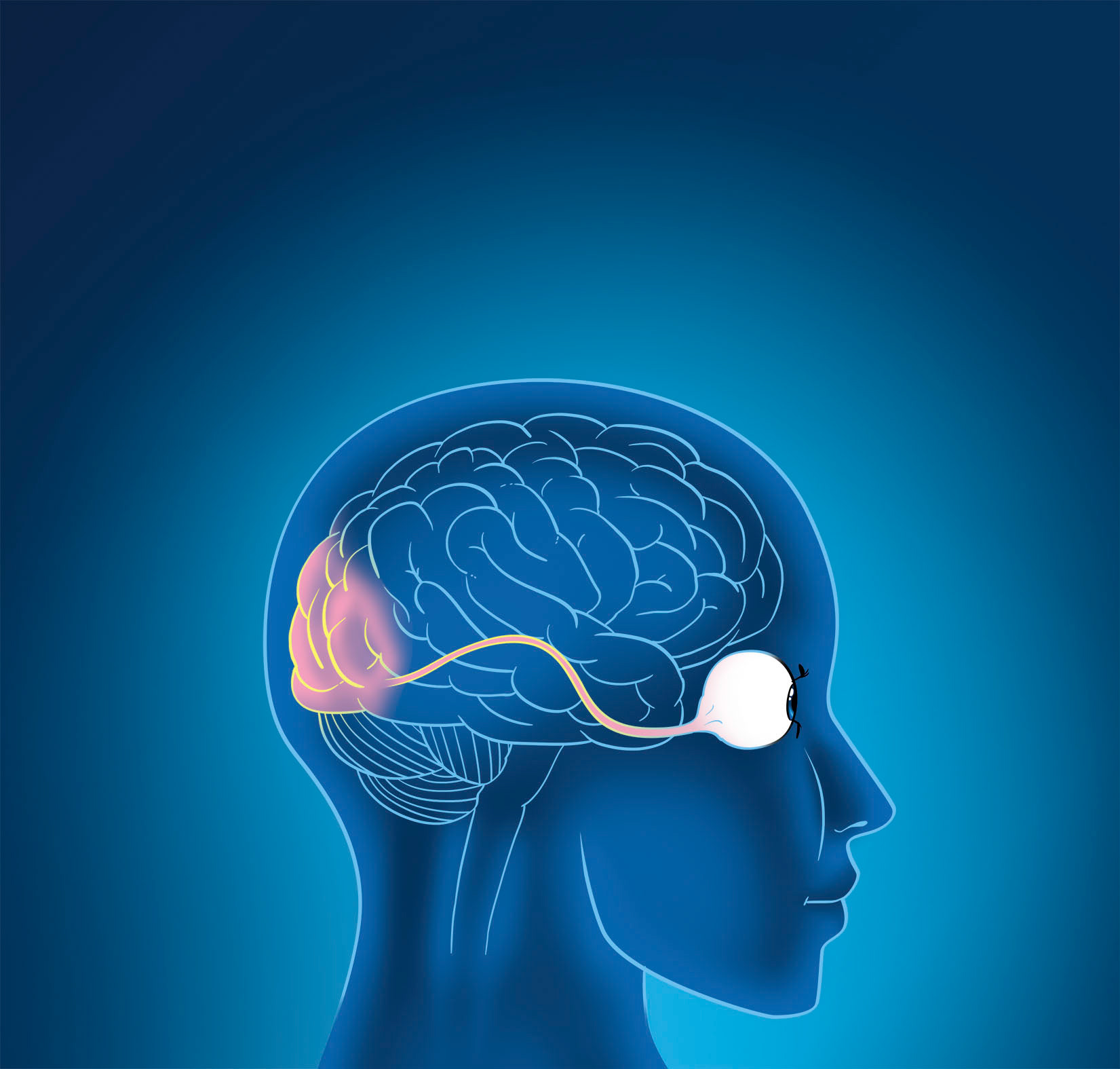 Arte produzida para a Editora Cidadania. Todos os direitos reservados. Desenho e cores Caio Boracini, arte final Laercio Lima