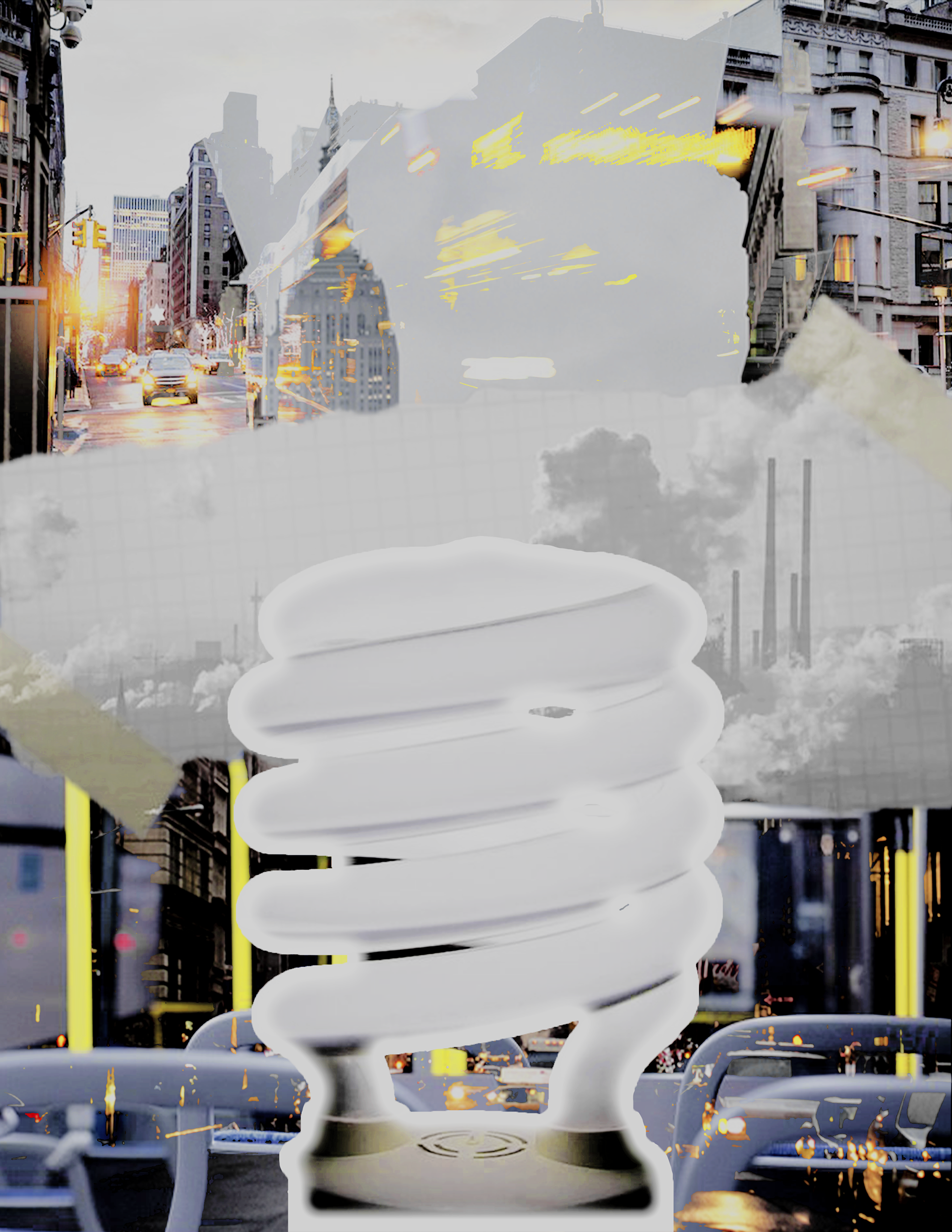 Climate Action: Switch to energy-efficient bulbs, Take public transportation to reduce greenhouse gas emissions & Hold the fossil fuel industry accountable
