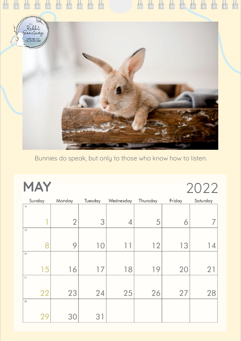 The Rabbit Sanctuary Calendar Design 2022