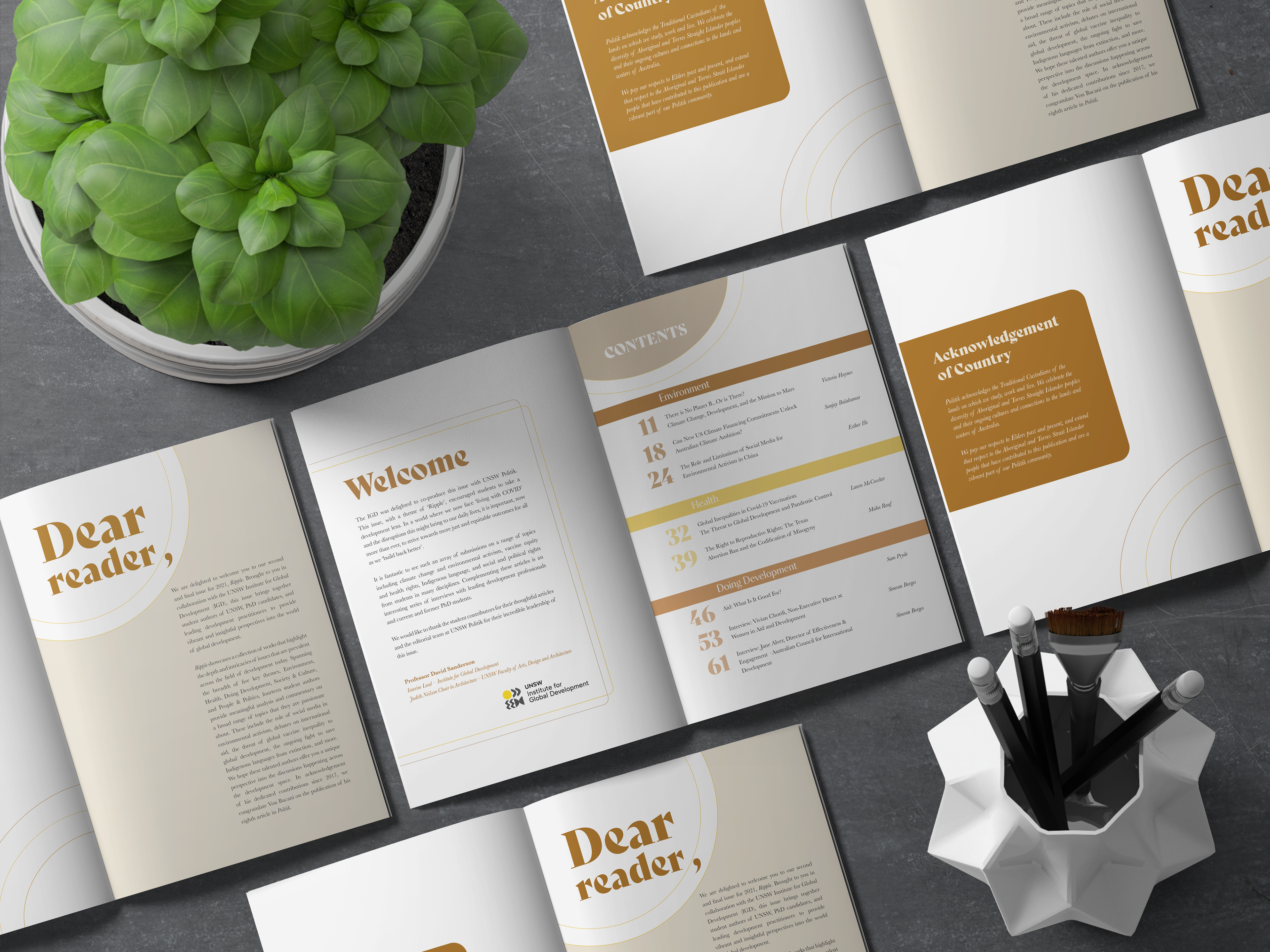 Ripple Layout Design mockup