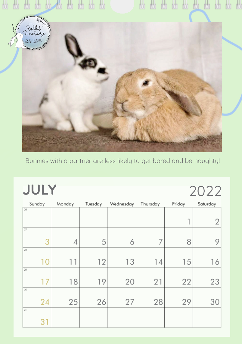 The Rabbit Sanctuary Calendar Design 2022