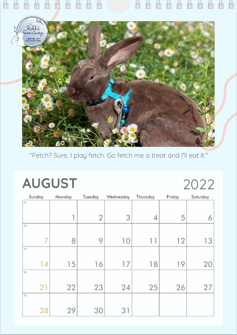 The Rabbit Sanctuary Calendar Design 2022