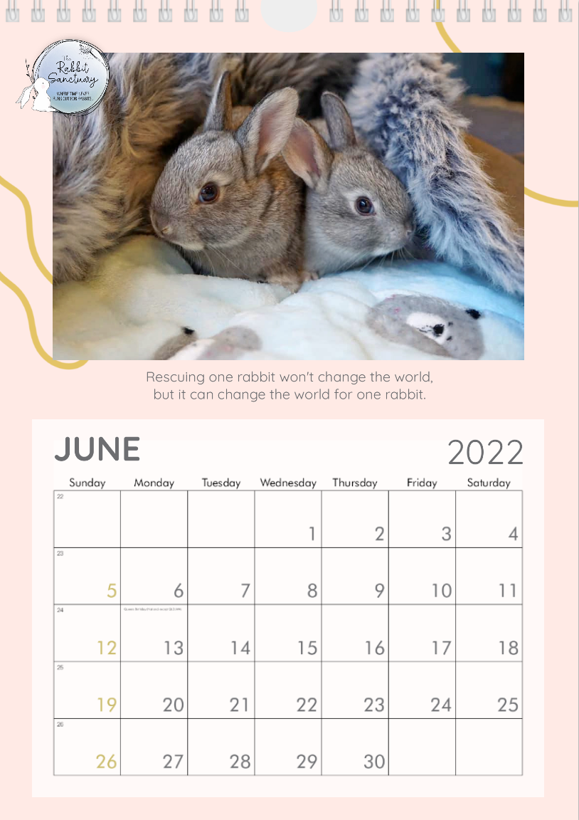 The Rabbit Sanctuary Calendar Design 2022