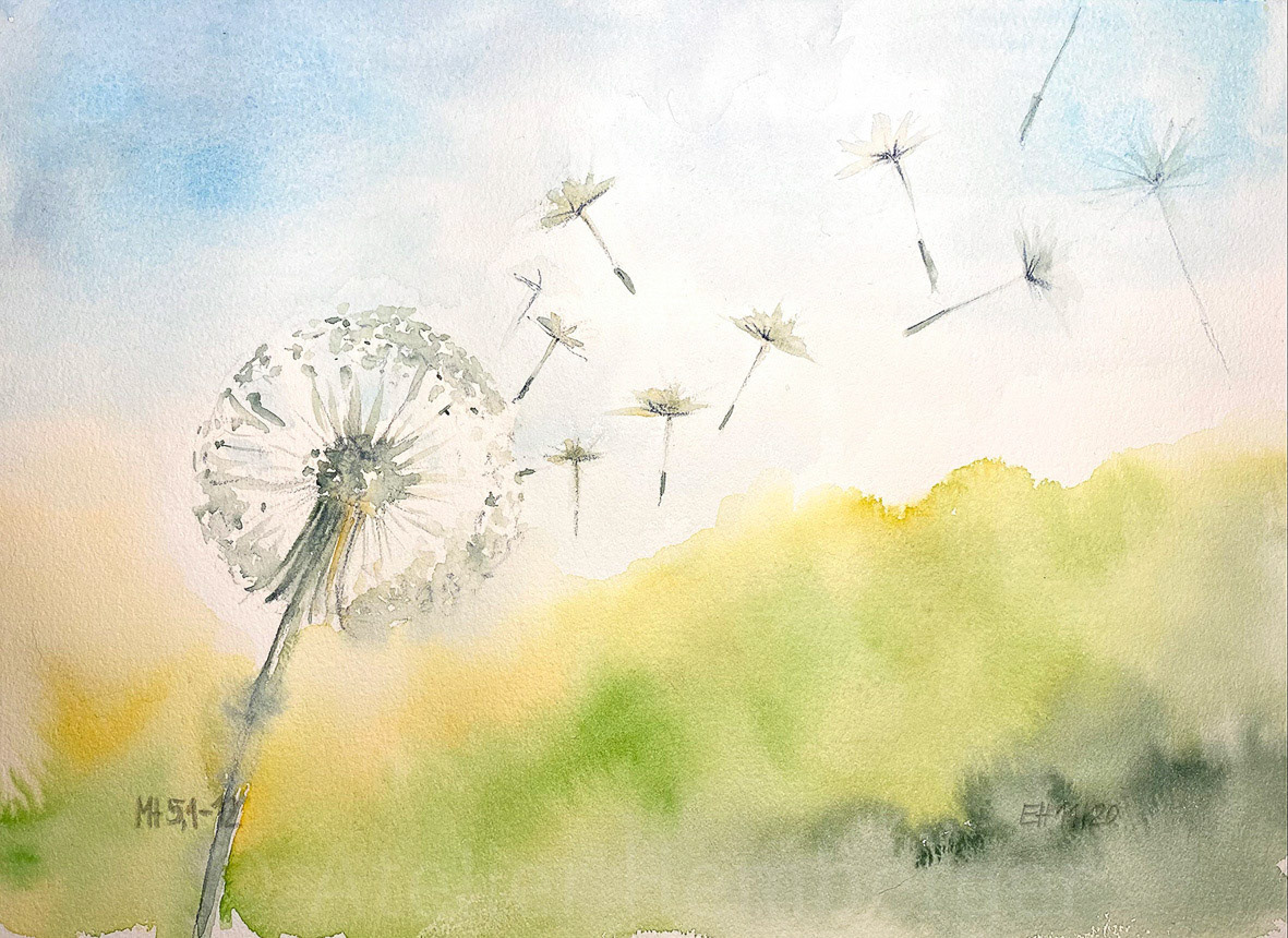 51A | 31. Sonntag | Selig, die Sanftmütigen | Mt 5,1-12