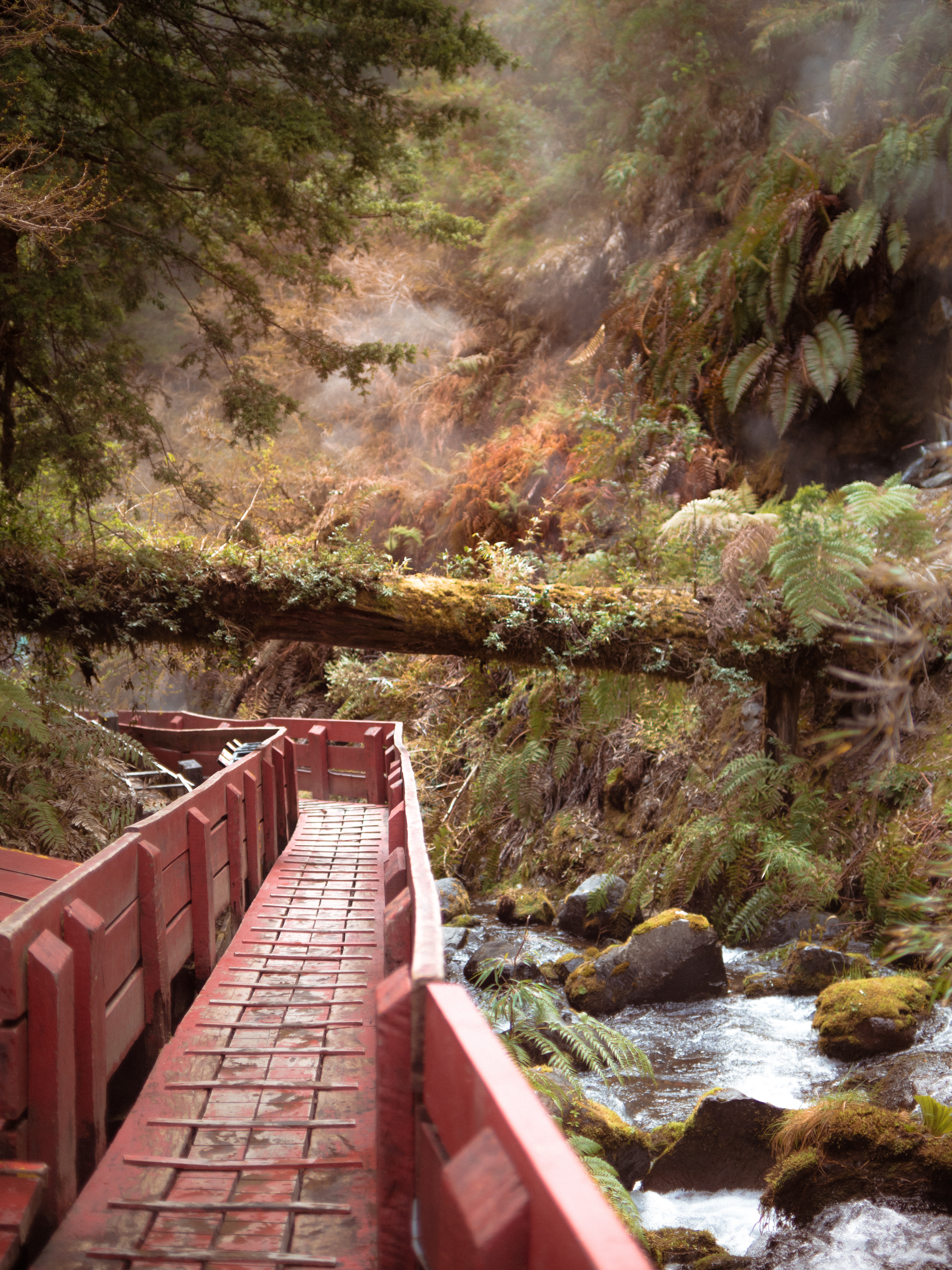 Walkway through a volcanic hot spring