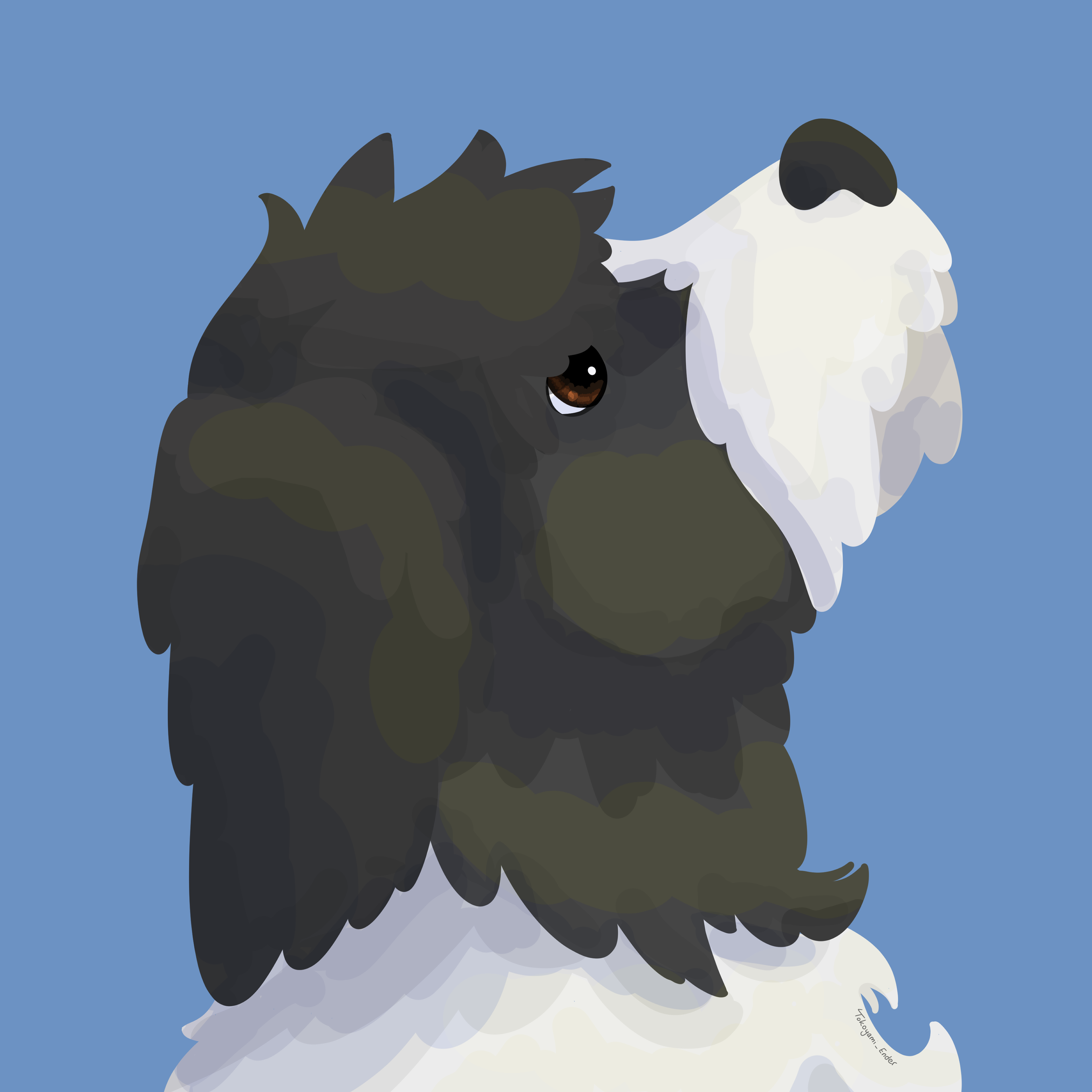 Hund einer Kollegin, CSP