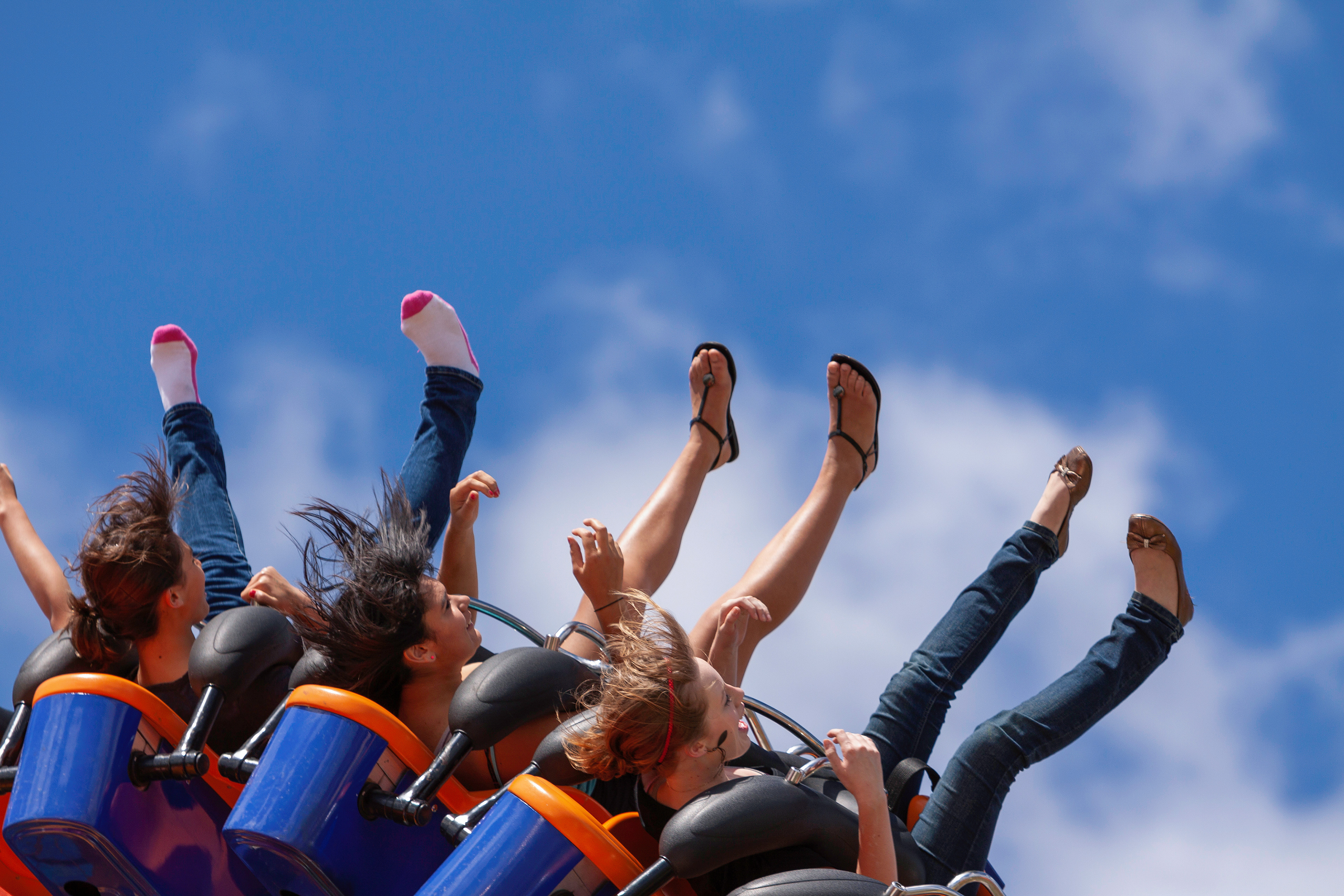 Showgirls, Albany Show