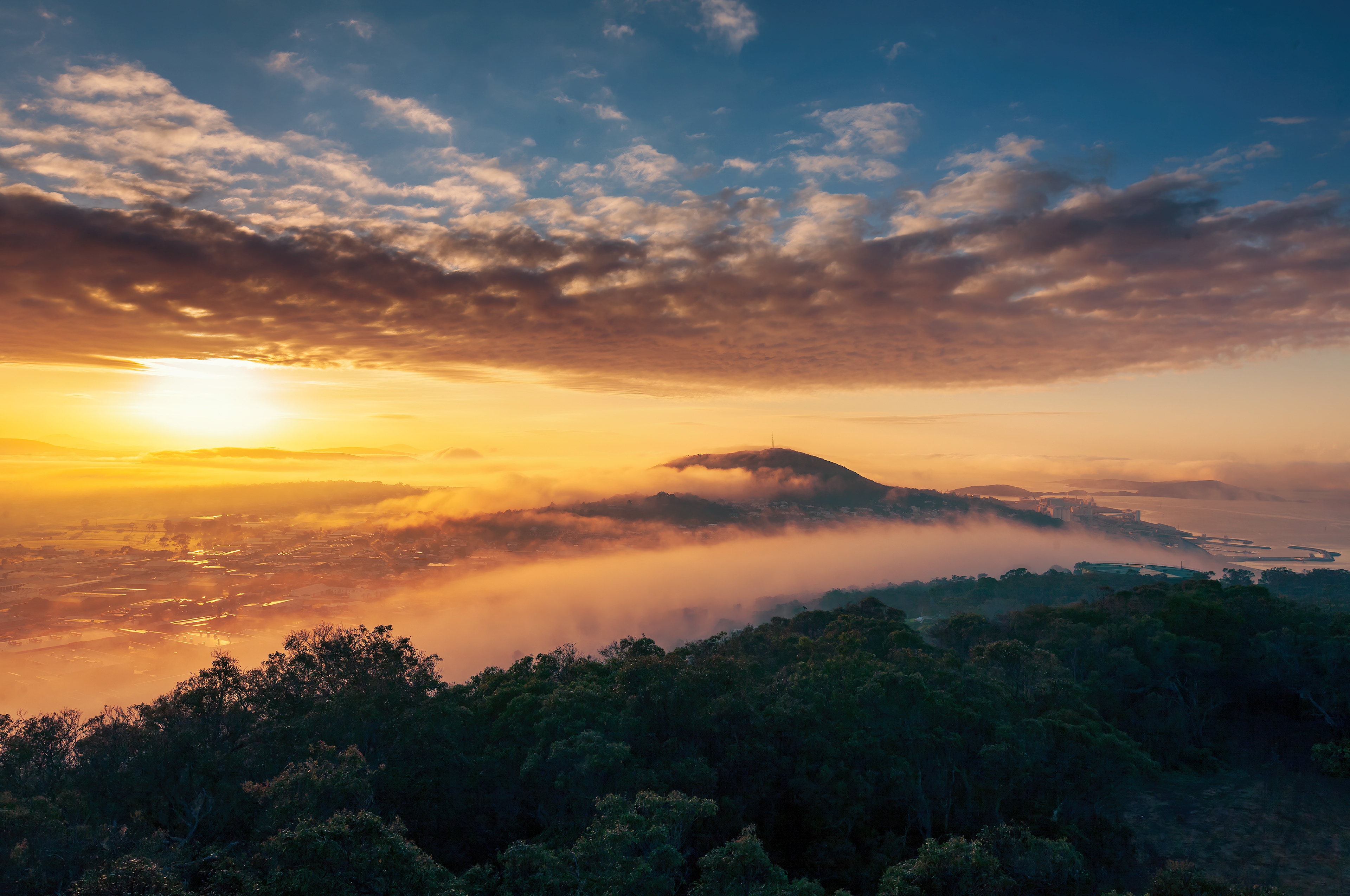 Albany from Mt Melville