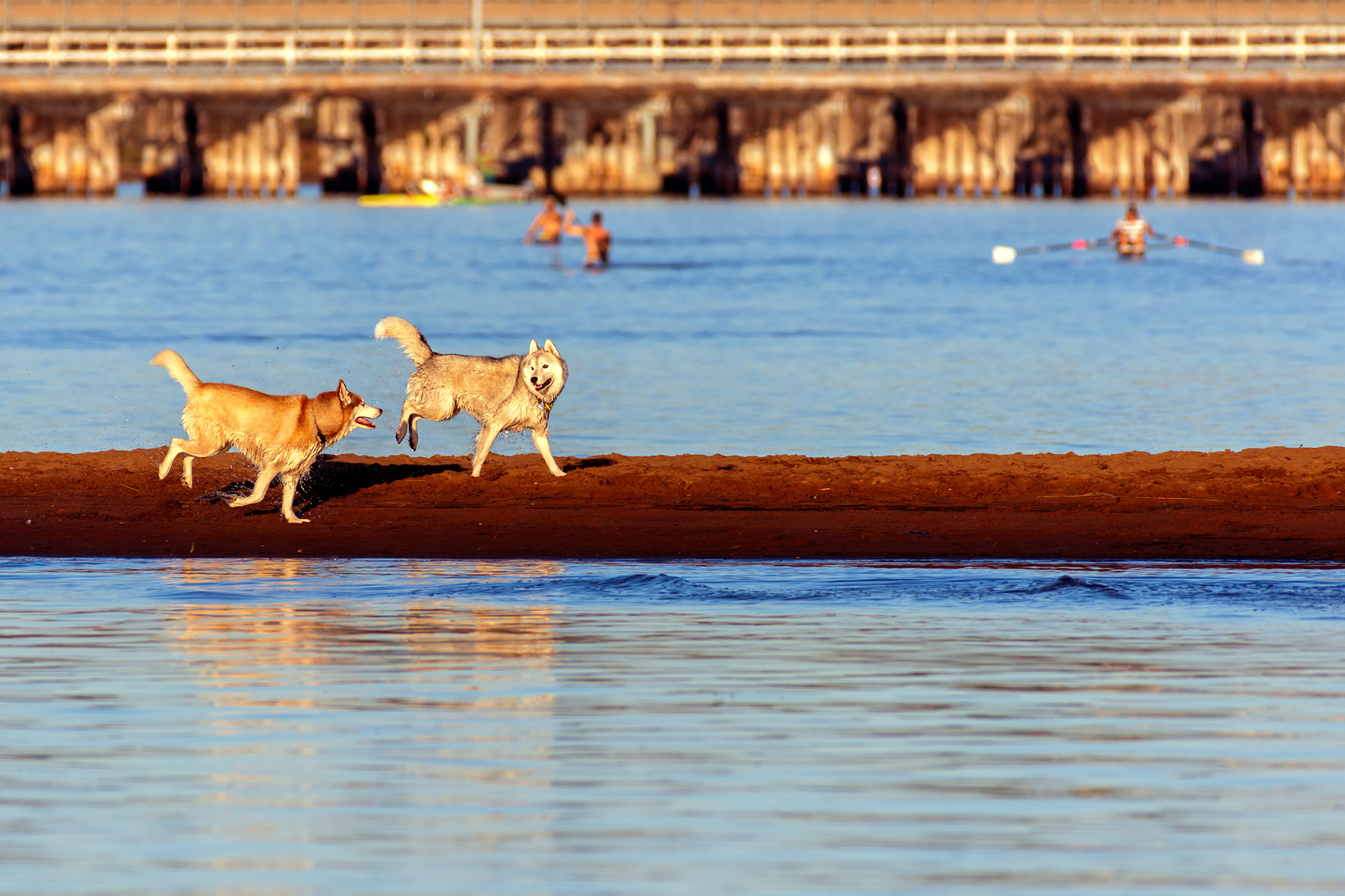 How Good Is This? Guildford, Swan River, perth