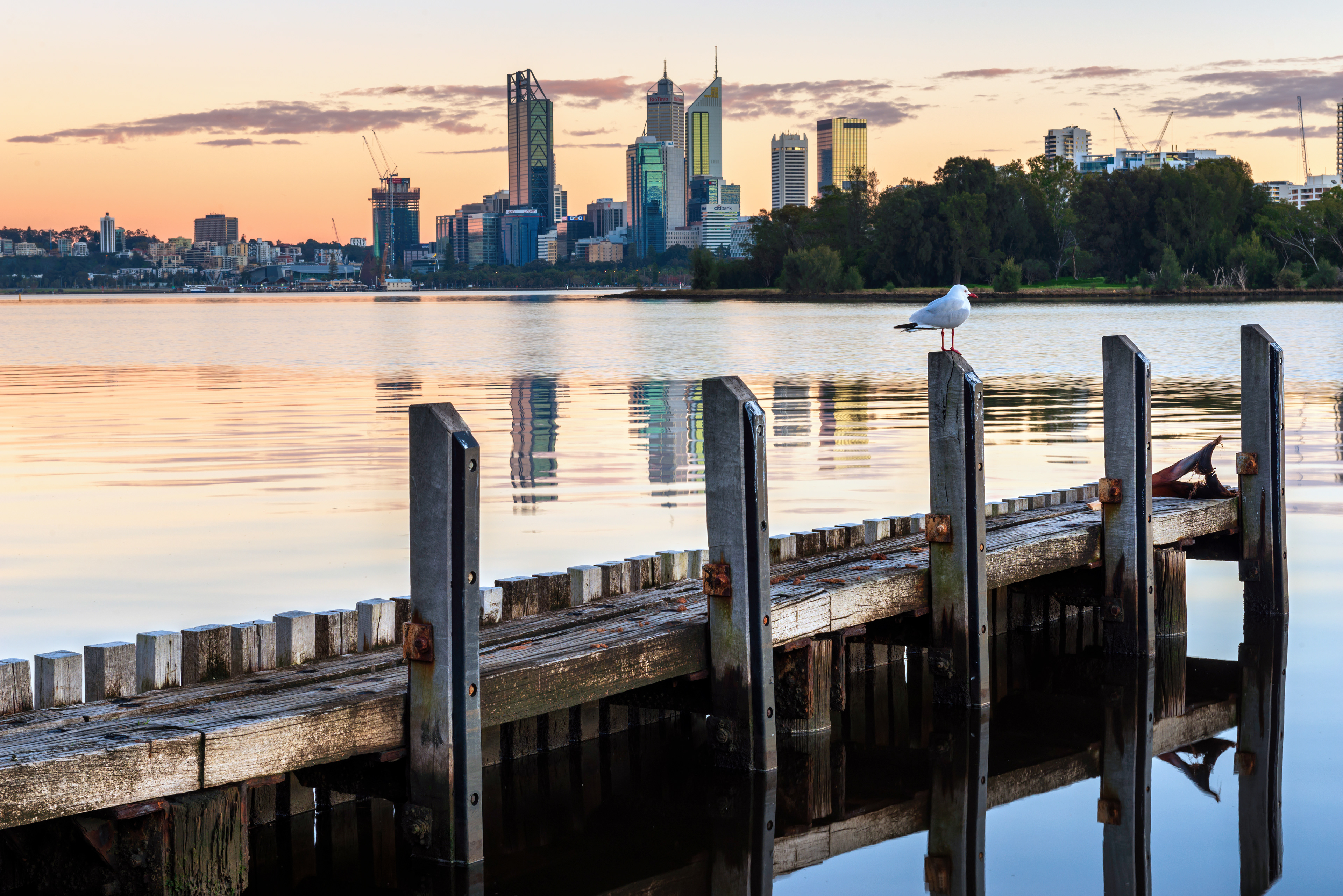 Ellam Street small boat jetty, South Perth