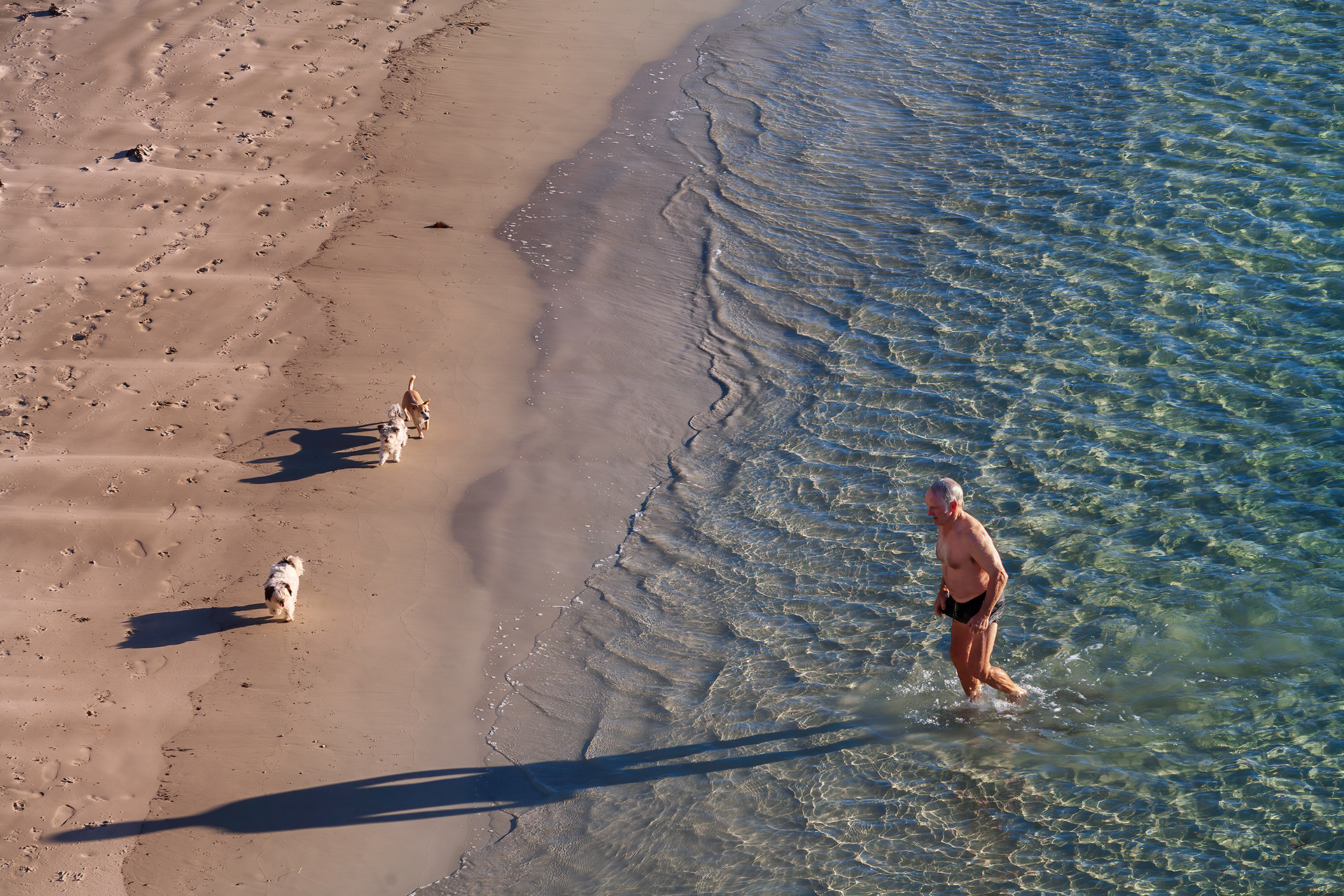 Three Dog Swim, Nanarup Beach, Albany