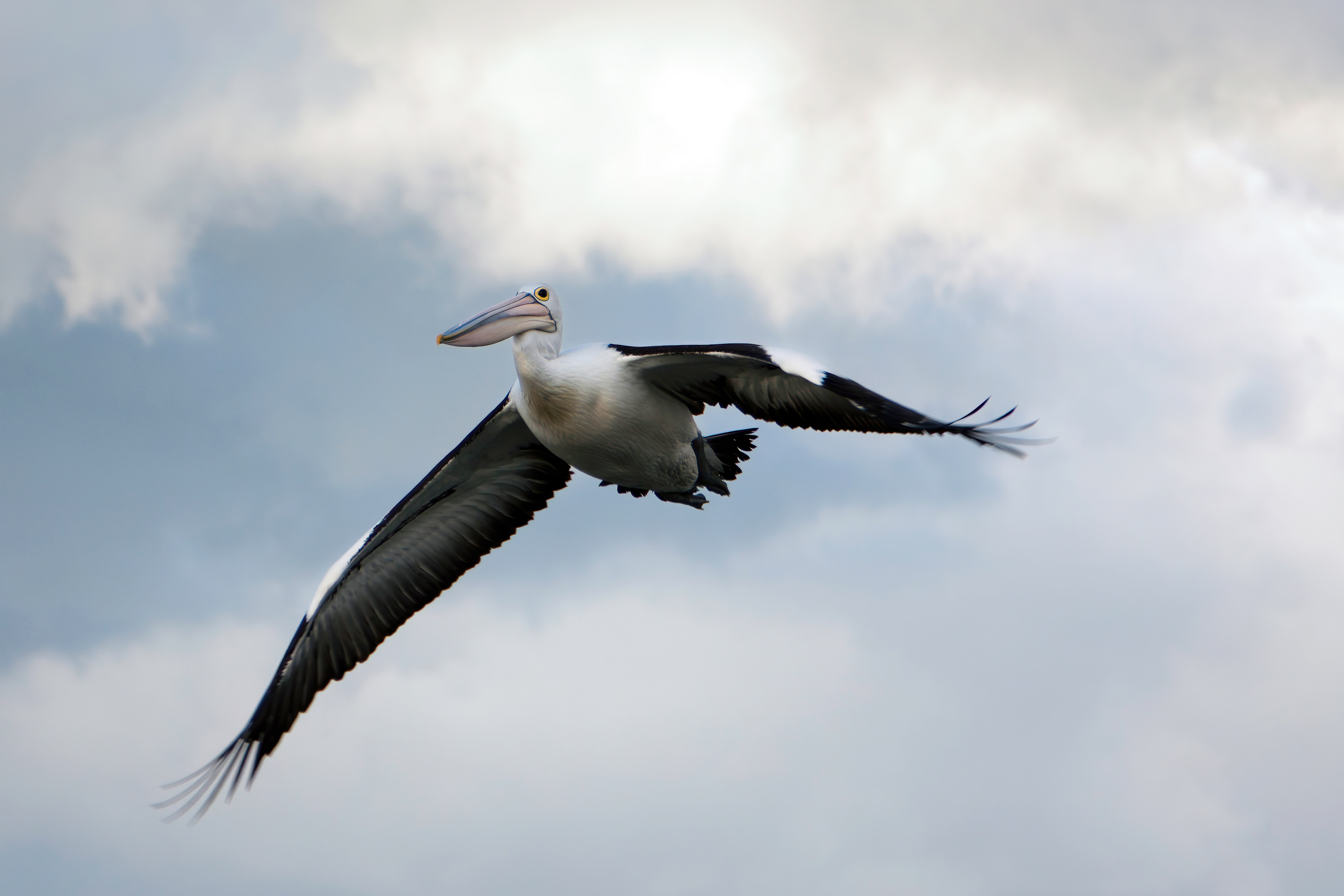 Aloft, Emu Point, Albany