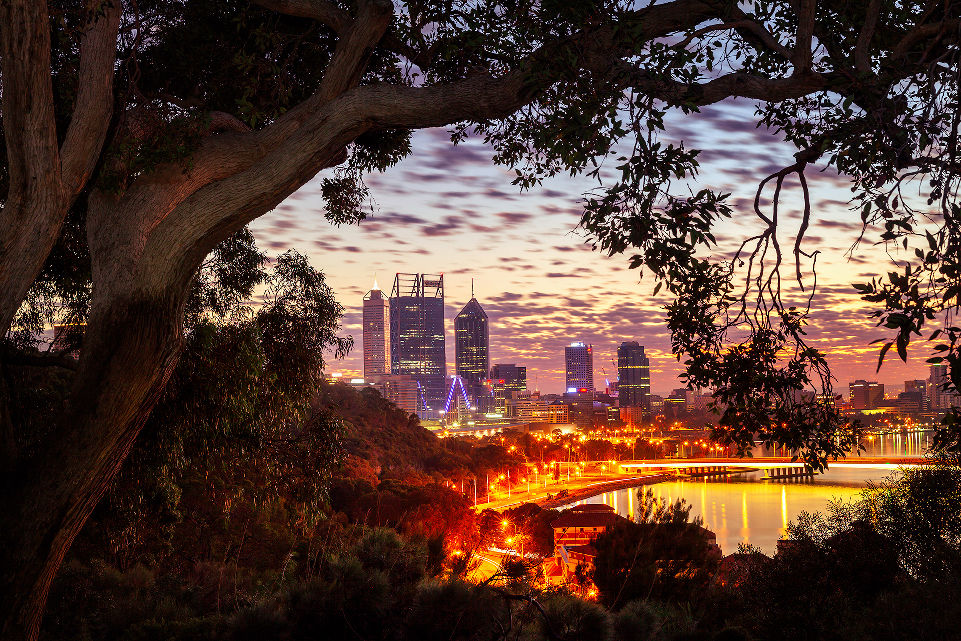 Kings Park, Perth