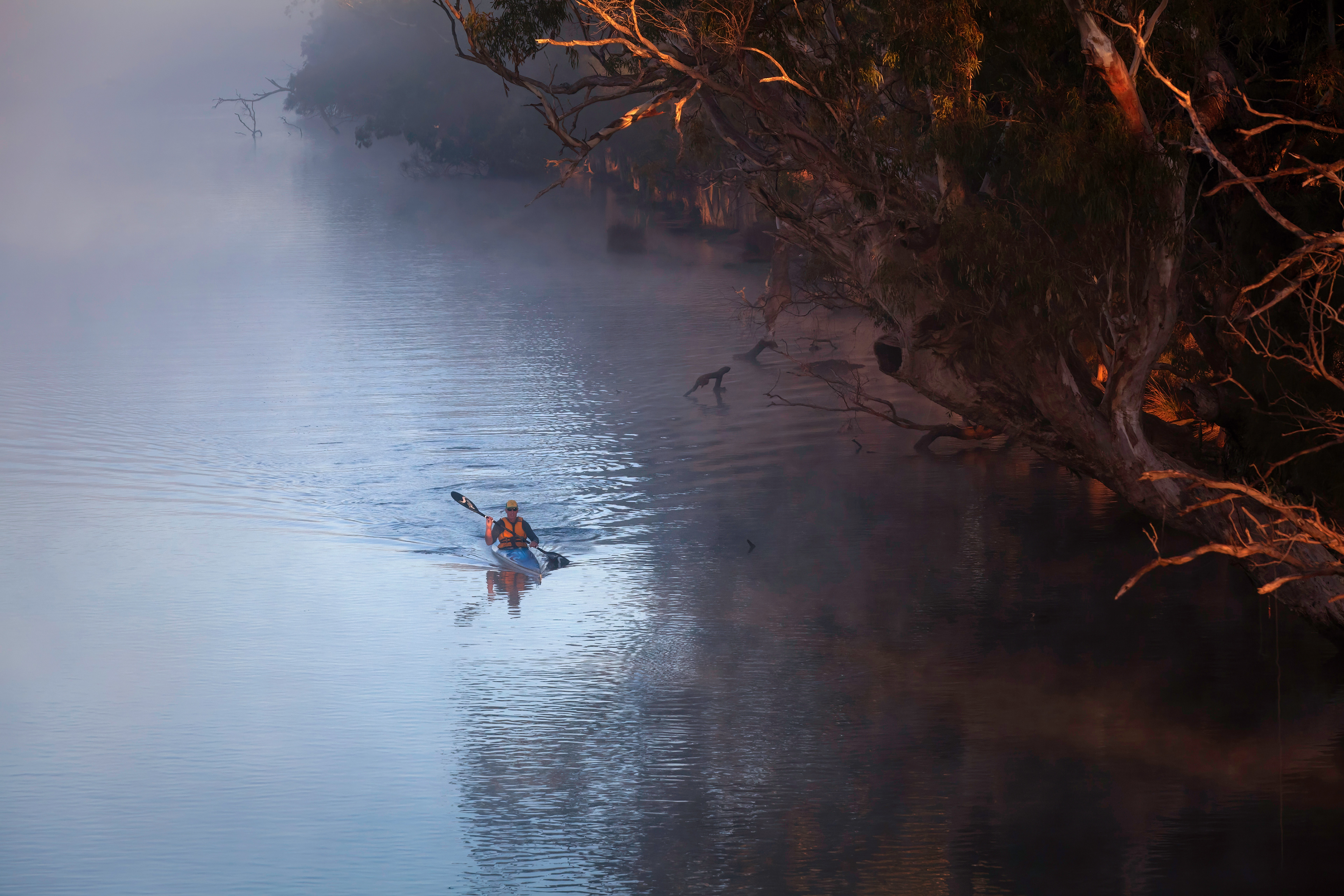 Lone Paddler, Guildford, Swan River, Perth