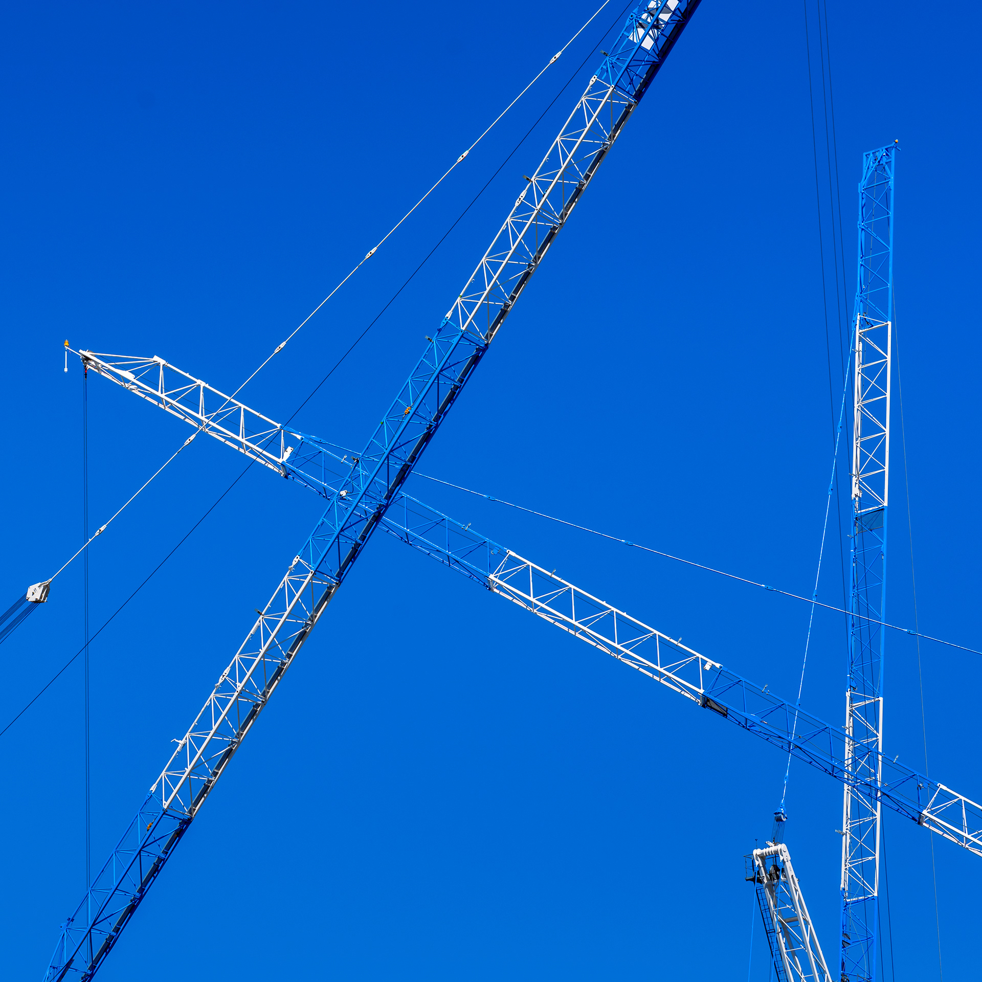 Crane Your Neck, East Perth